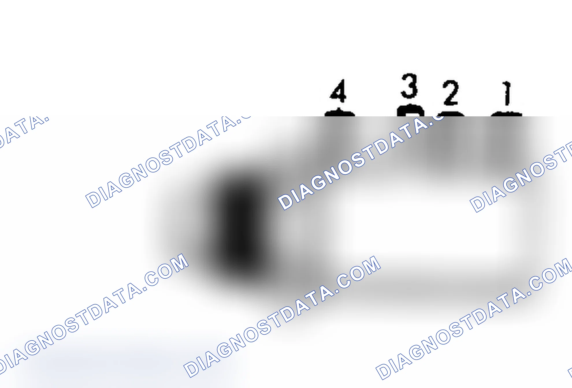Scheme 2: CHOKE VACUUM BREAK THERMAL VACUUM SWITCH