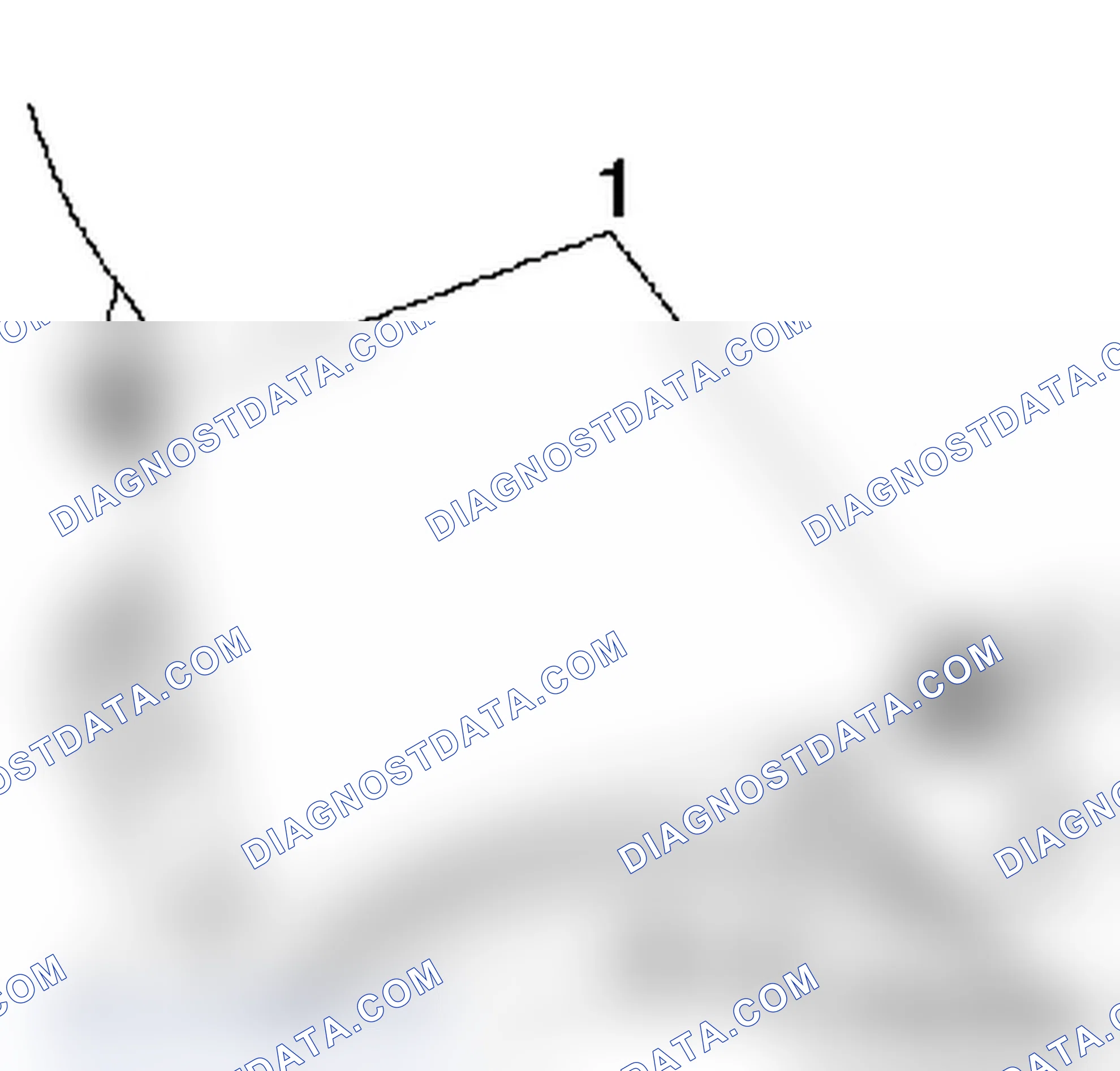 How to Replace the Timing Belt