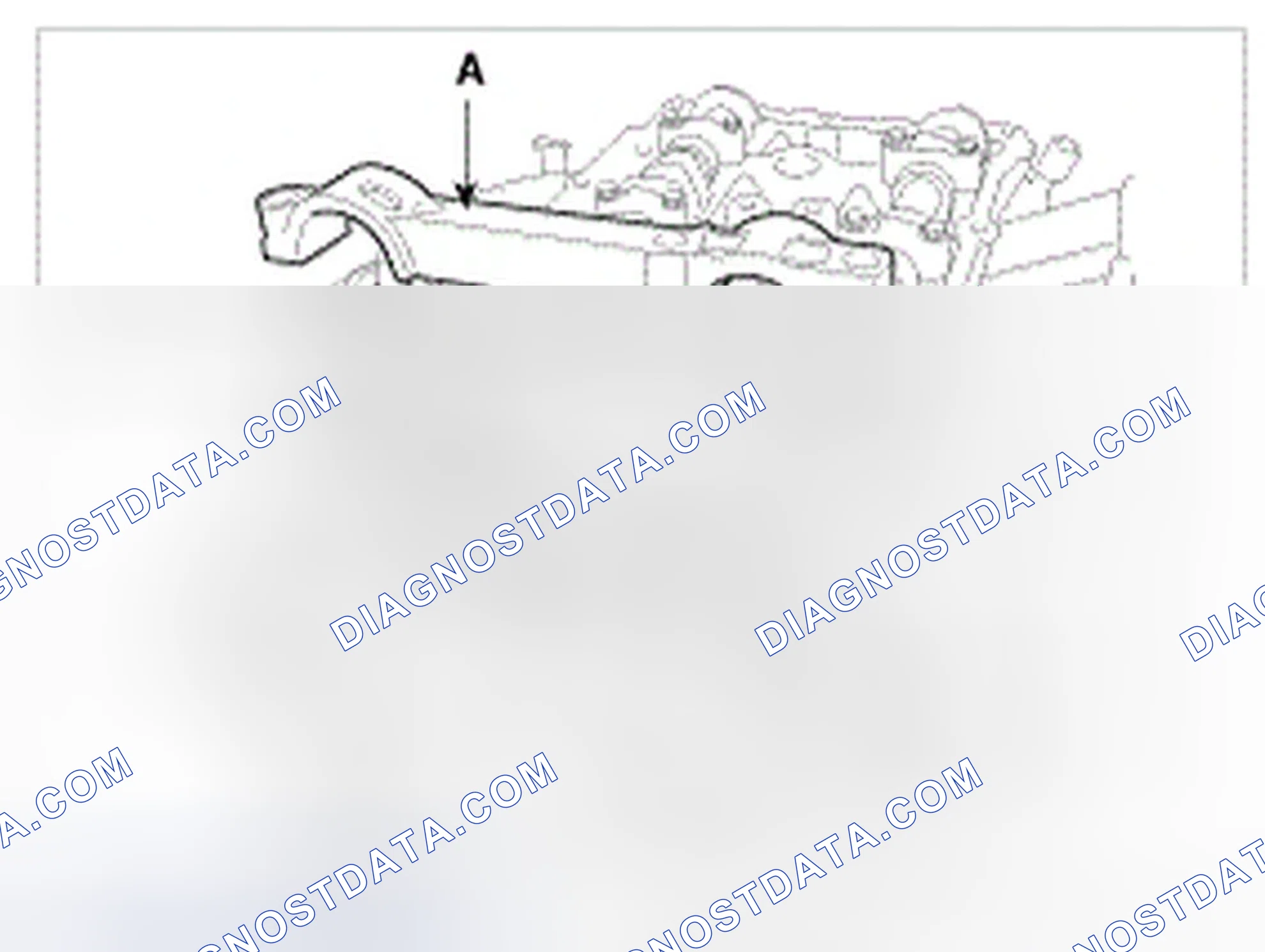 Scheme 339