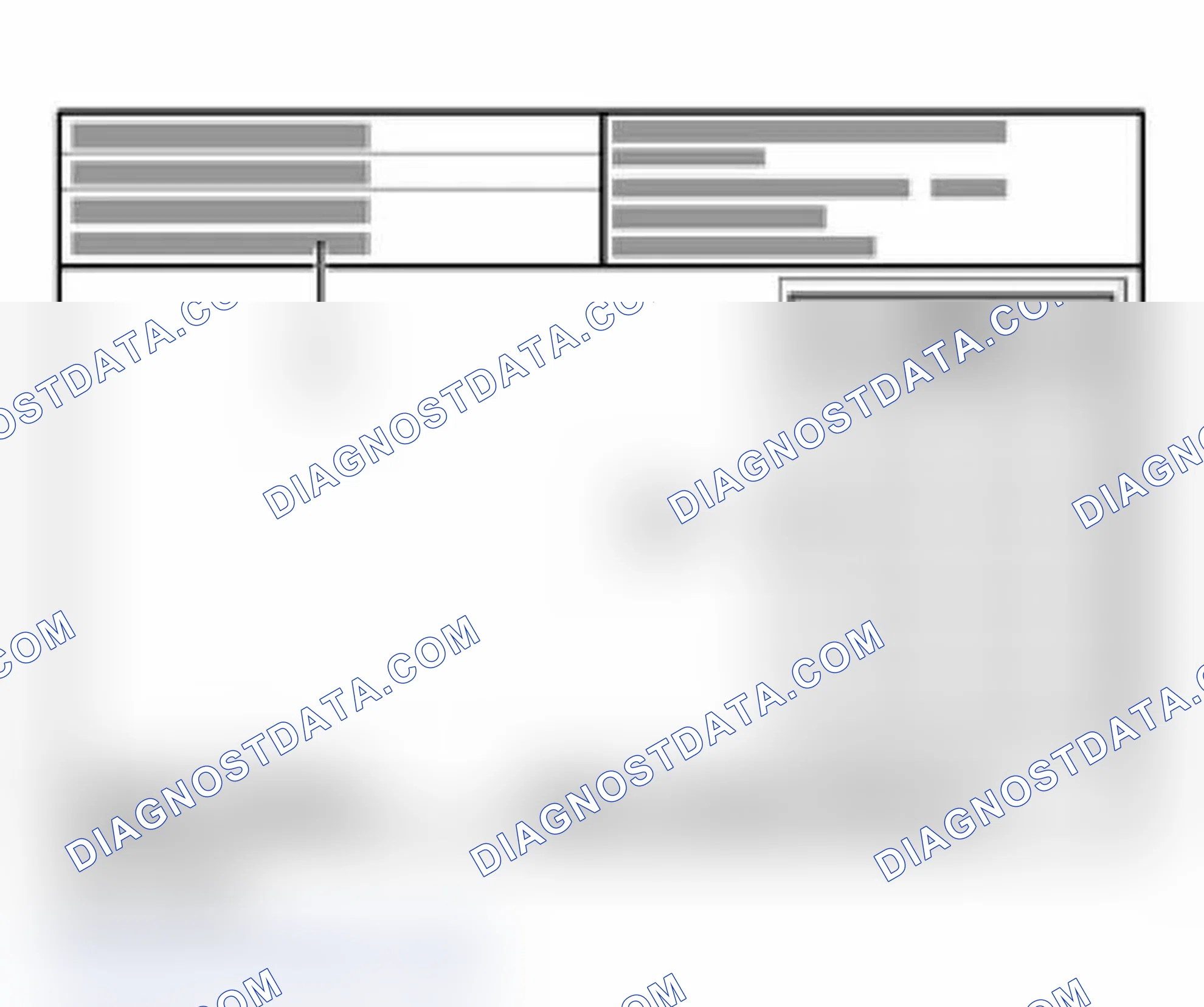 Scheme 335