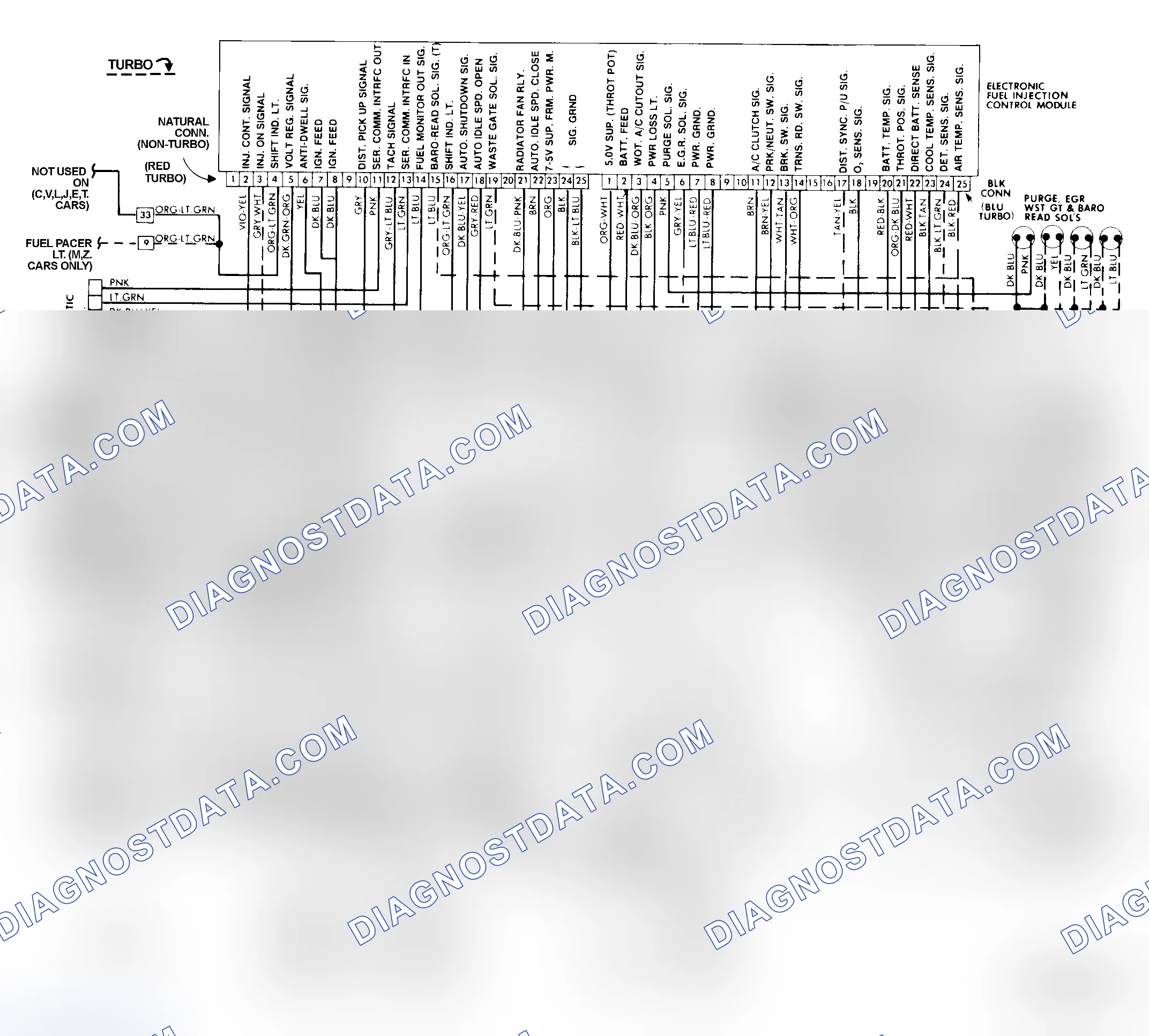 Scheme 22: Chrysler Multi-Point Fuel Injection Wiring Diagram