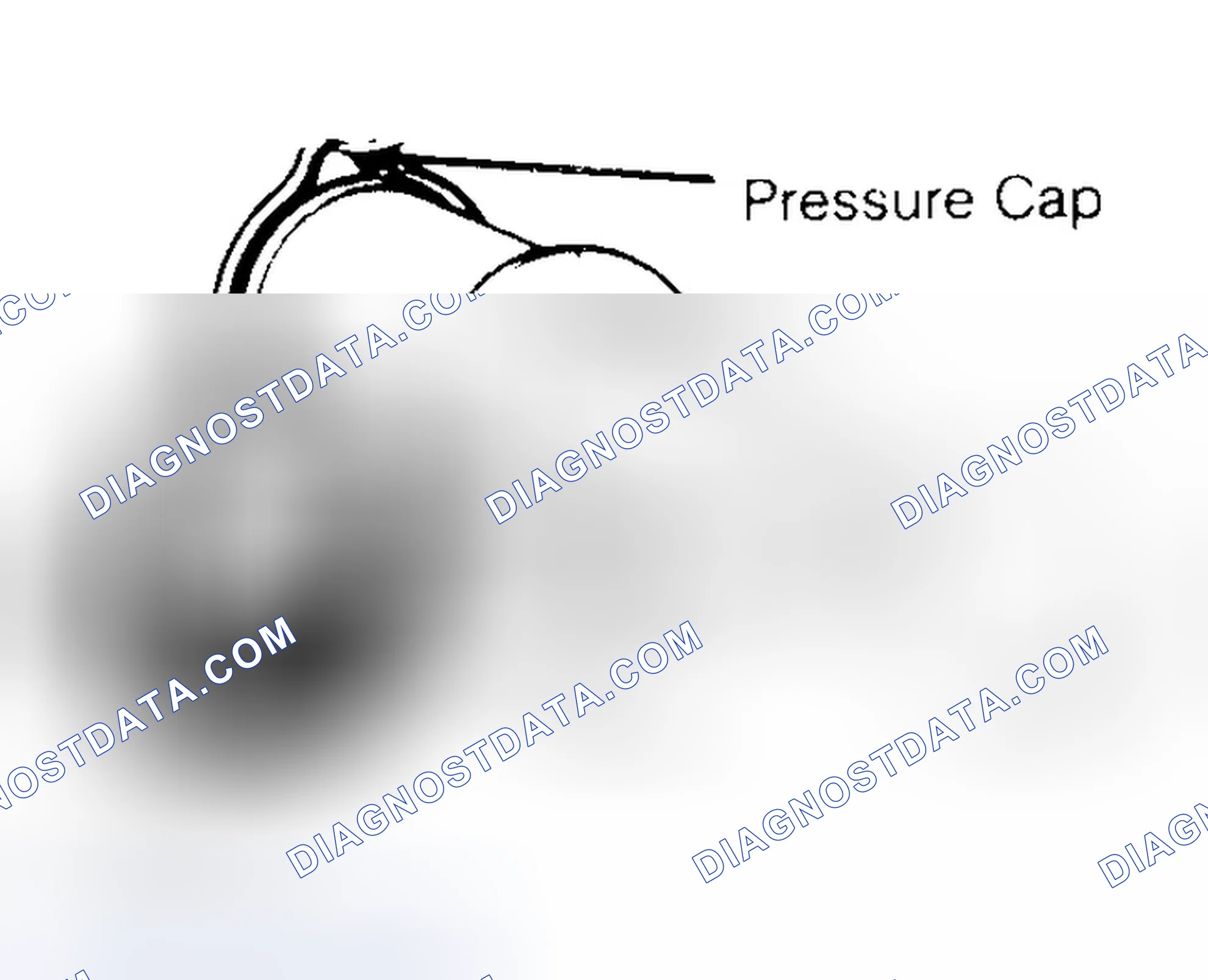 Scheme 2: Pressure Testing Radiator Cap