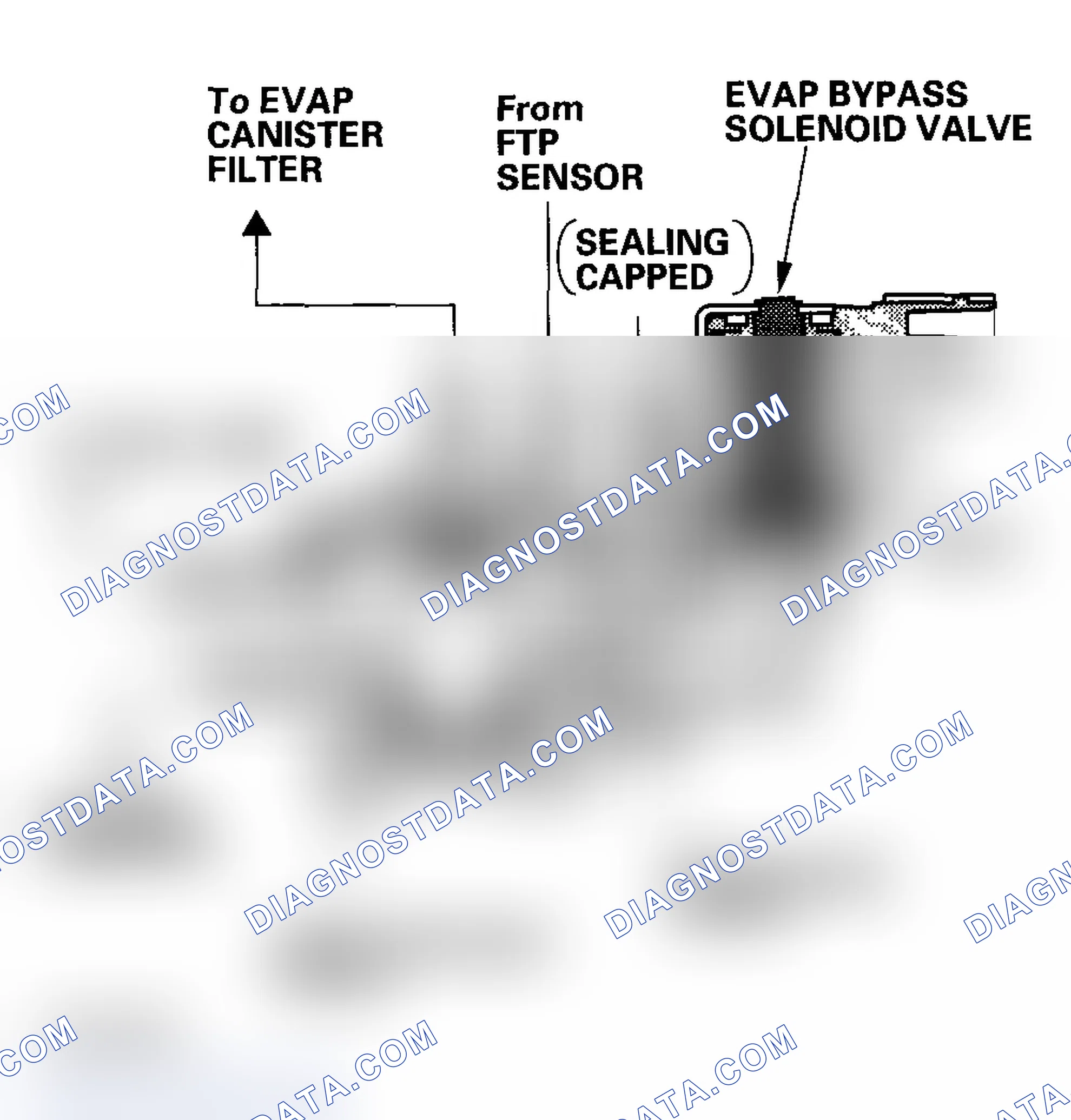 Scheme 45: EVAP Two Way Valve and EVAP Bypass Solenoid Valve (2003-2004 models)