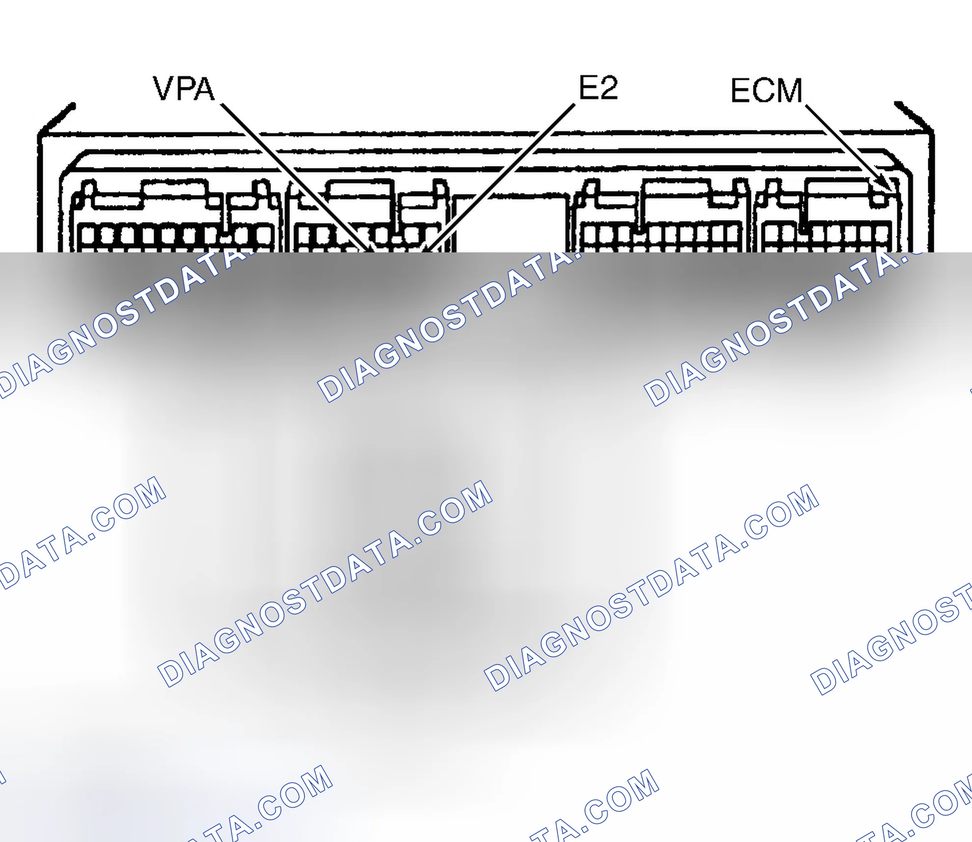 Scheme 317