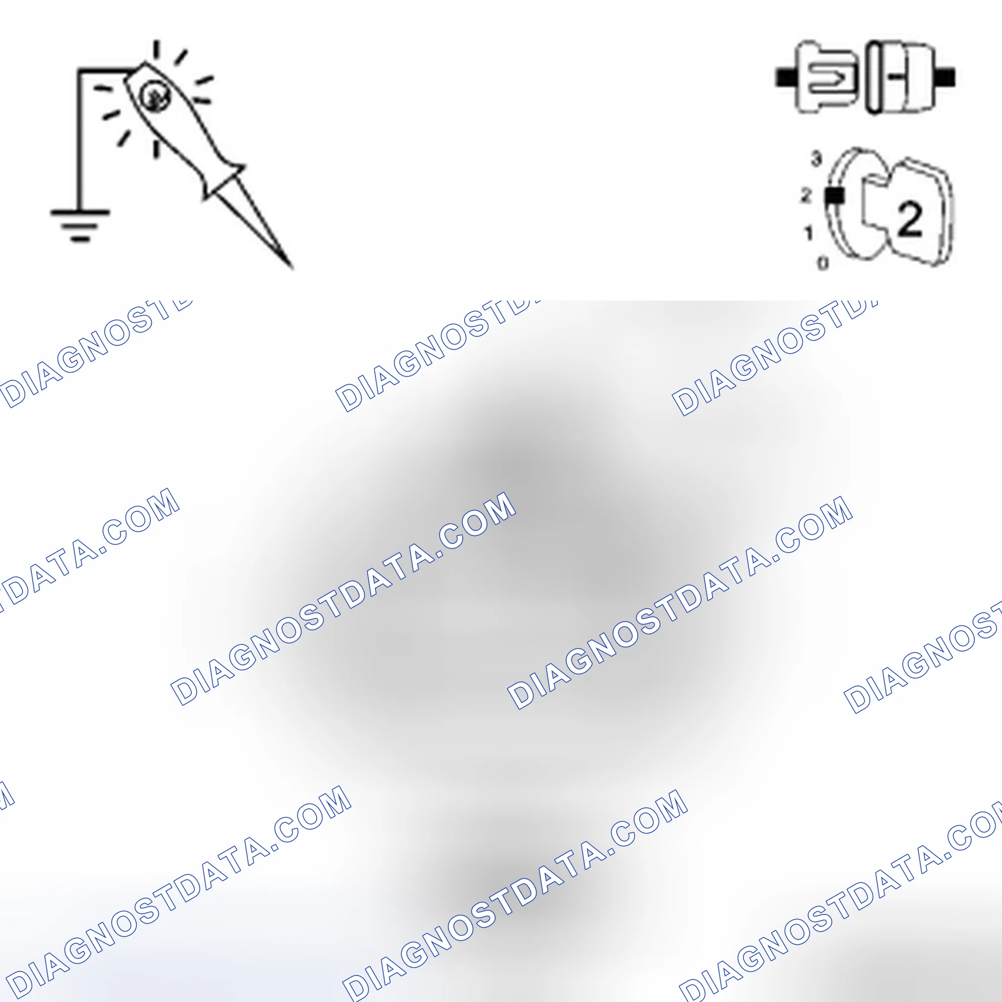 Scheme 12: Diagnostic Test