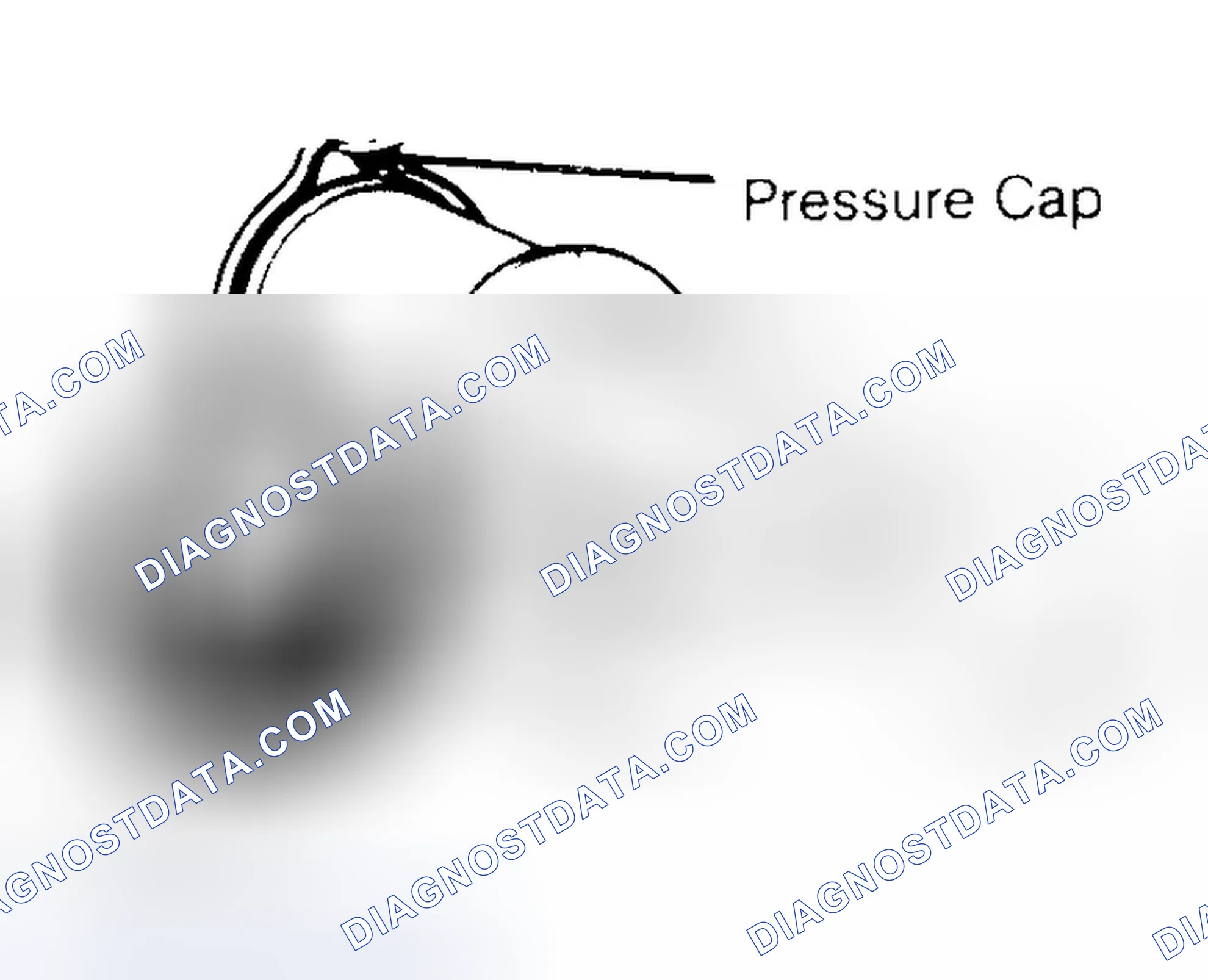 Scheme 2: Pressure Testing Radiator Cap