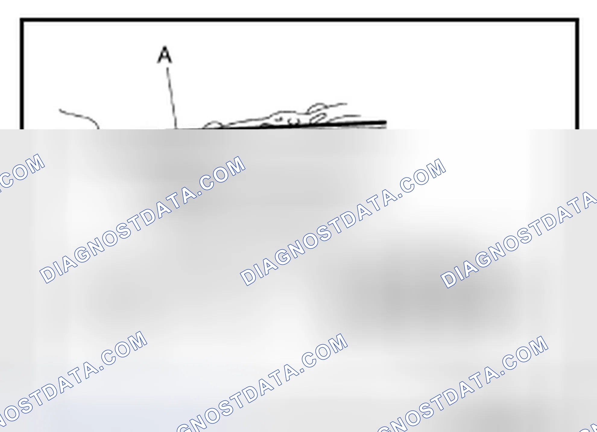 Scheme 234