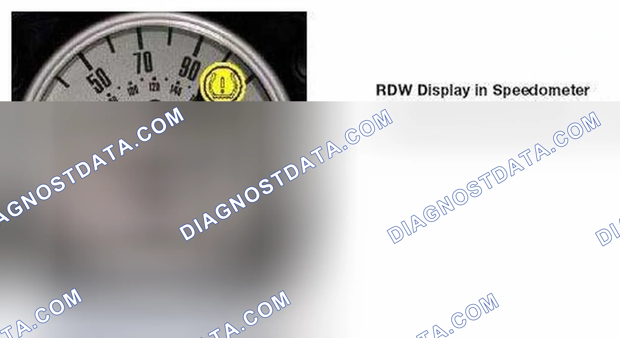 Scheme 61: RDW Display in IKE