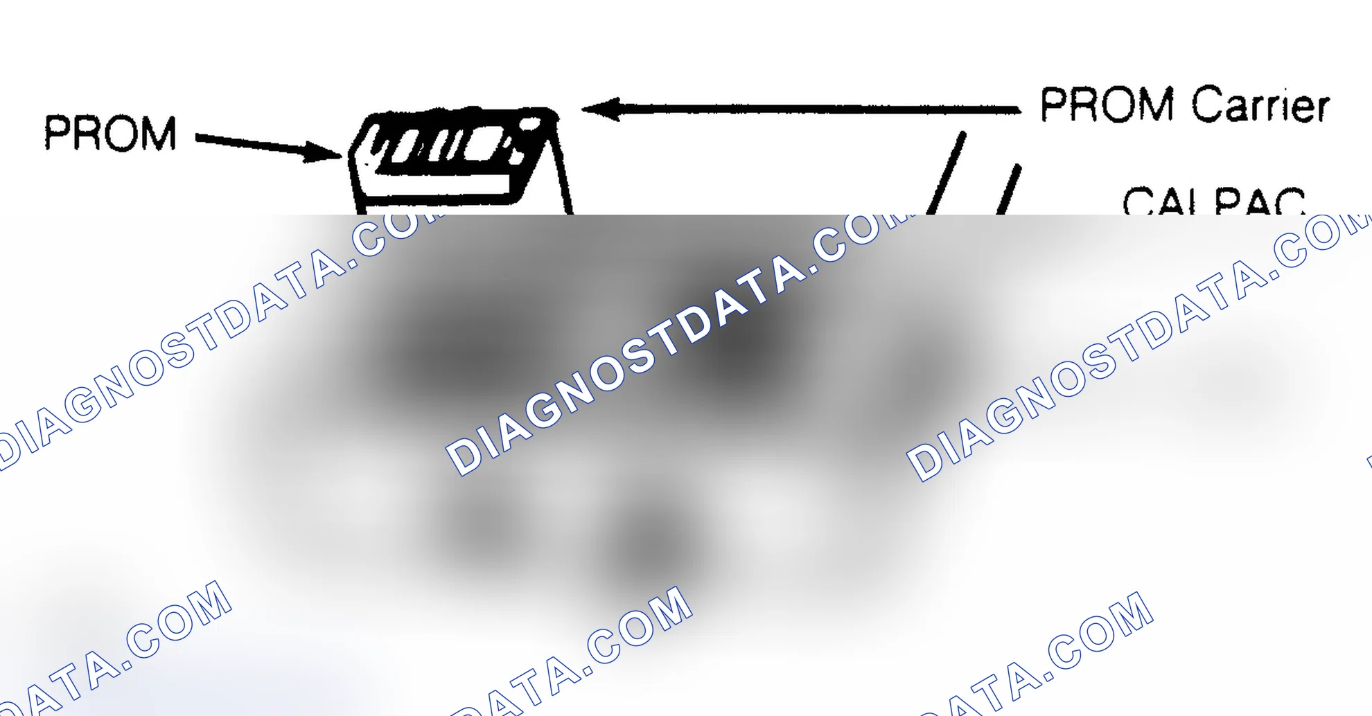 Scheme 3: CALPAC