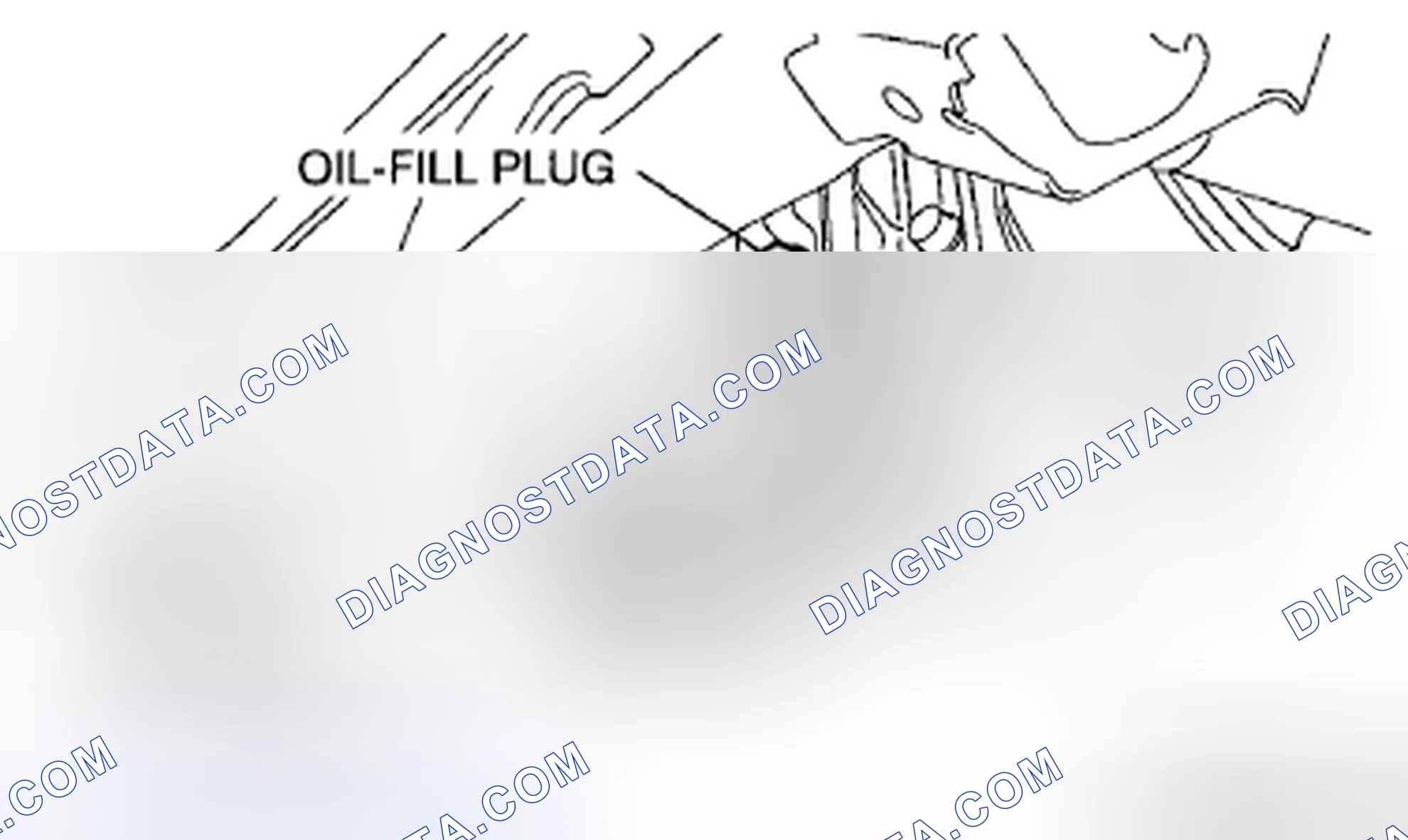 Scheme 2: DIFFERENTIAL OIL INSPECTION