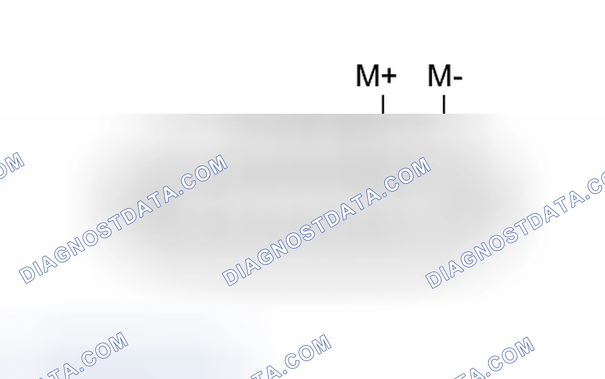 Scheme 538: INSPECTION