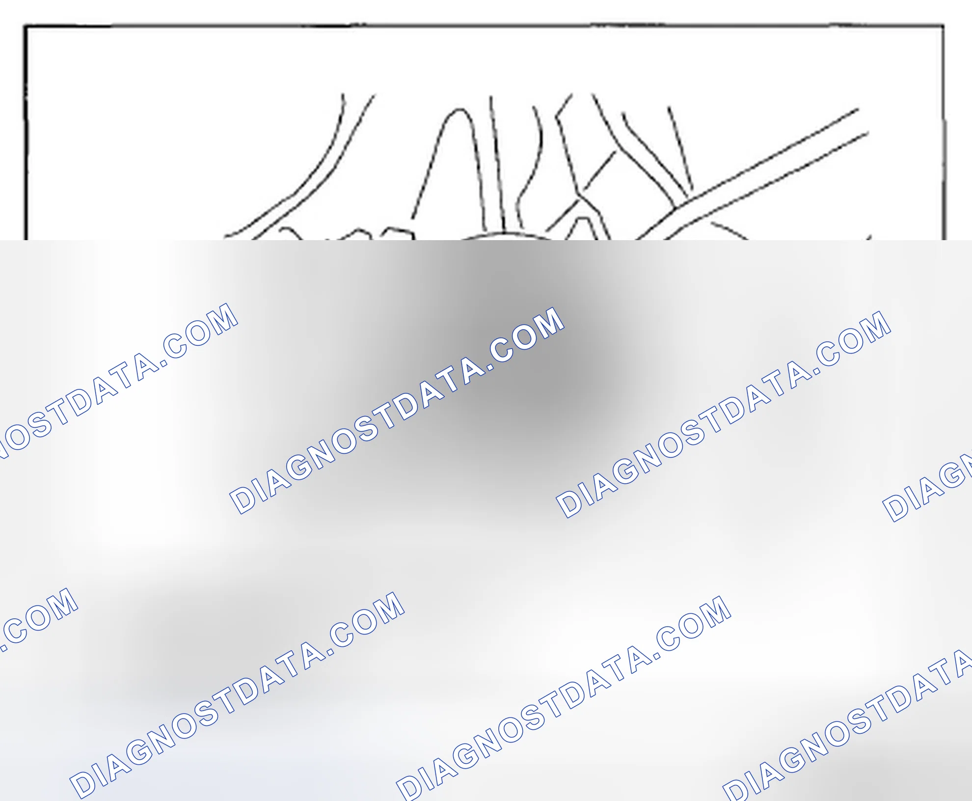 Scheme 1190: Converter Housing Side (FW6A-EL)