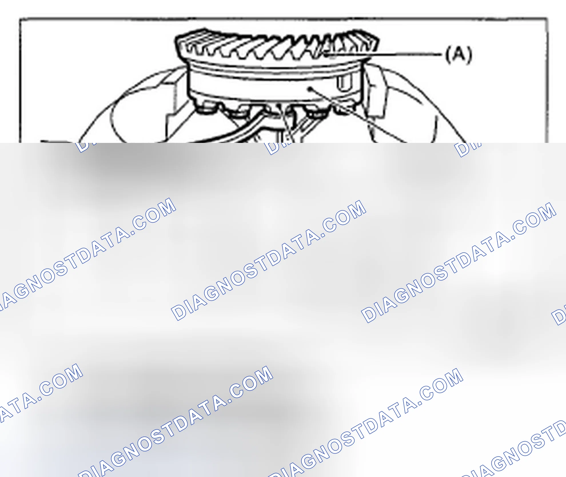 Scheme 318