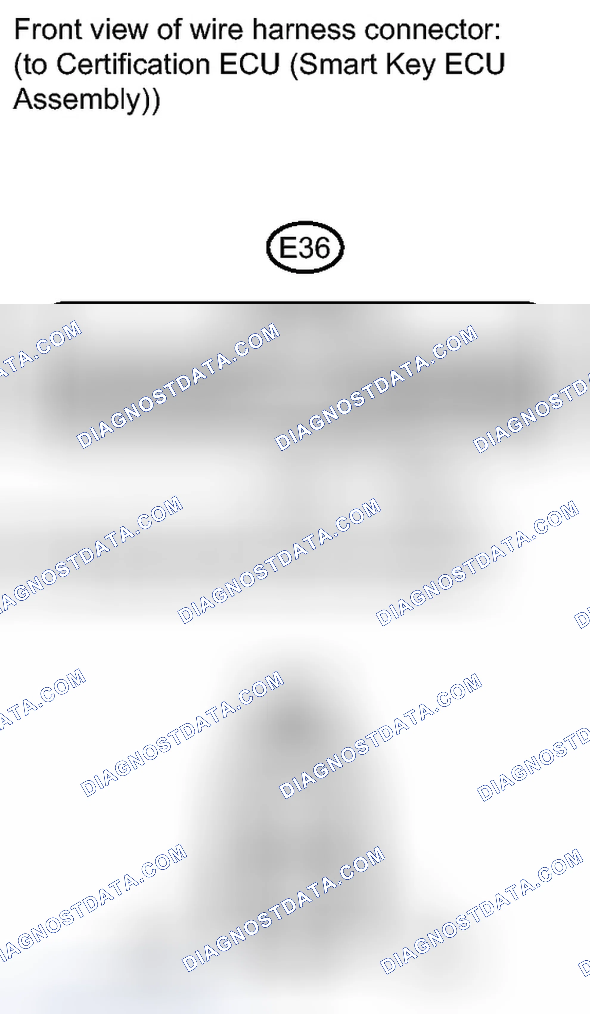 Scheme 232