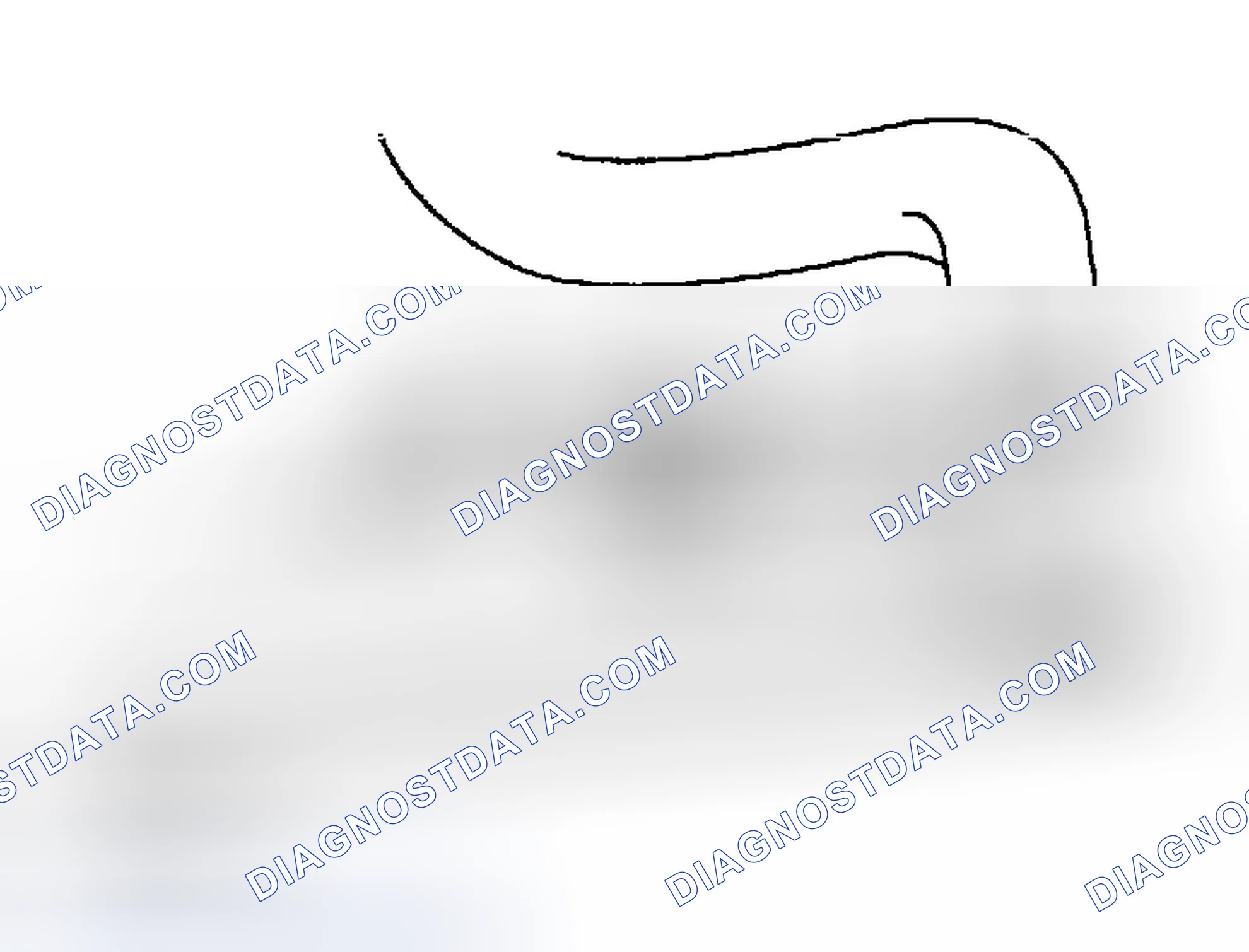 Scheme 250: COOLANT QUALITY