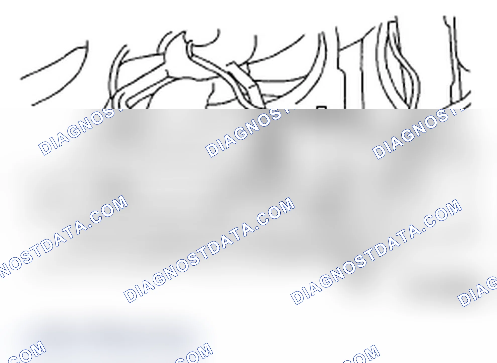 Scheme 42: DRAINING OF ENGINE COOLANT