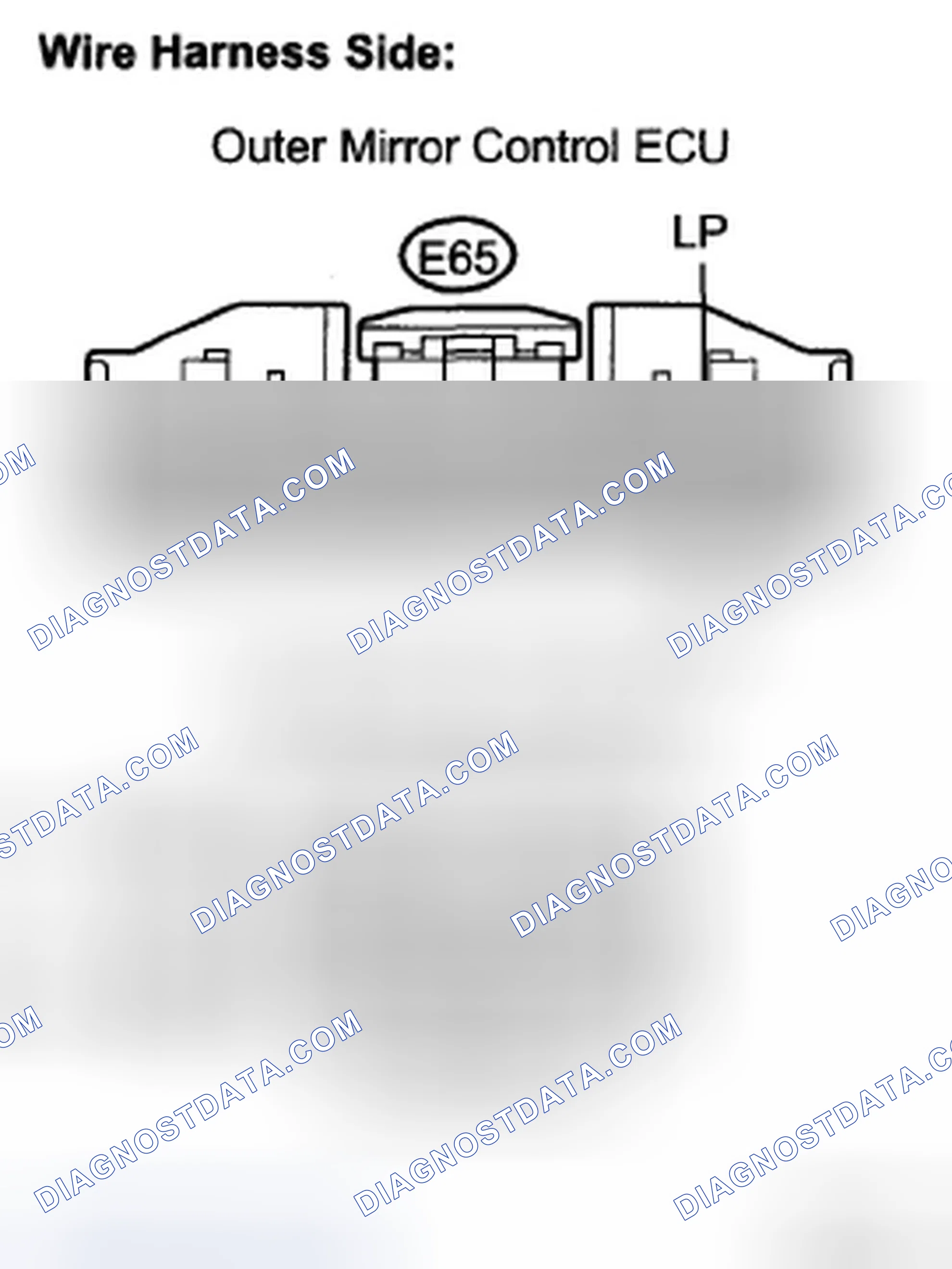 Scheme 51: INSPECTION PROCEDURE