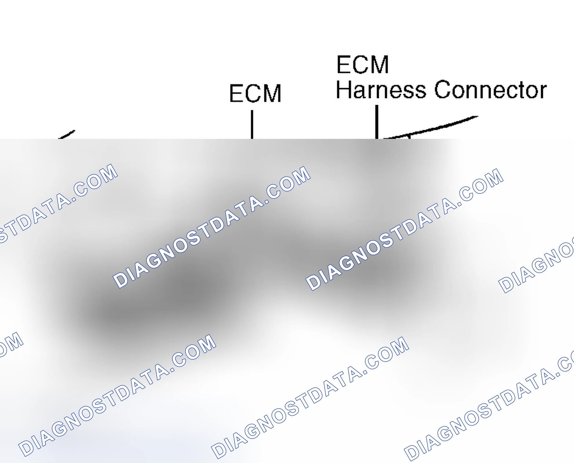 Scheme 3: ECM HARNESS CONNECTOR