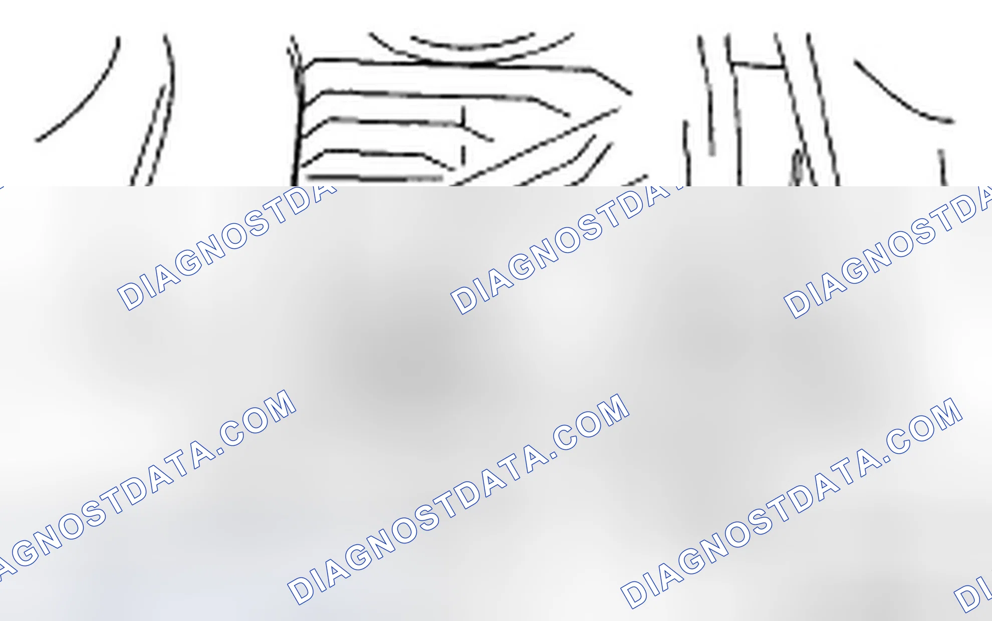 Scheme 110: FRONT DIFFERENTIAL (AT MODEL)