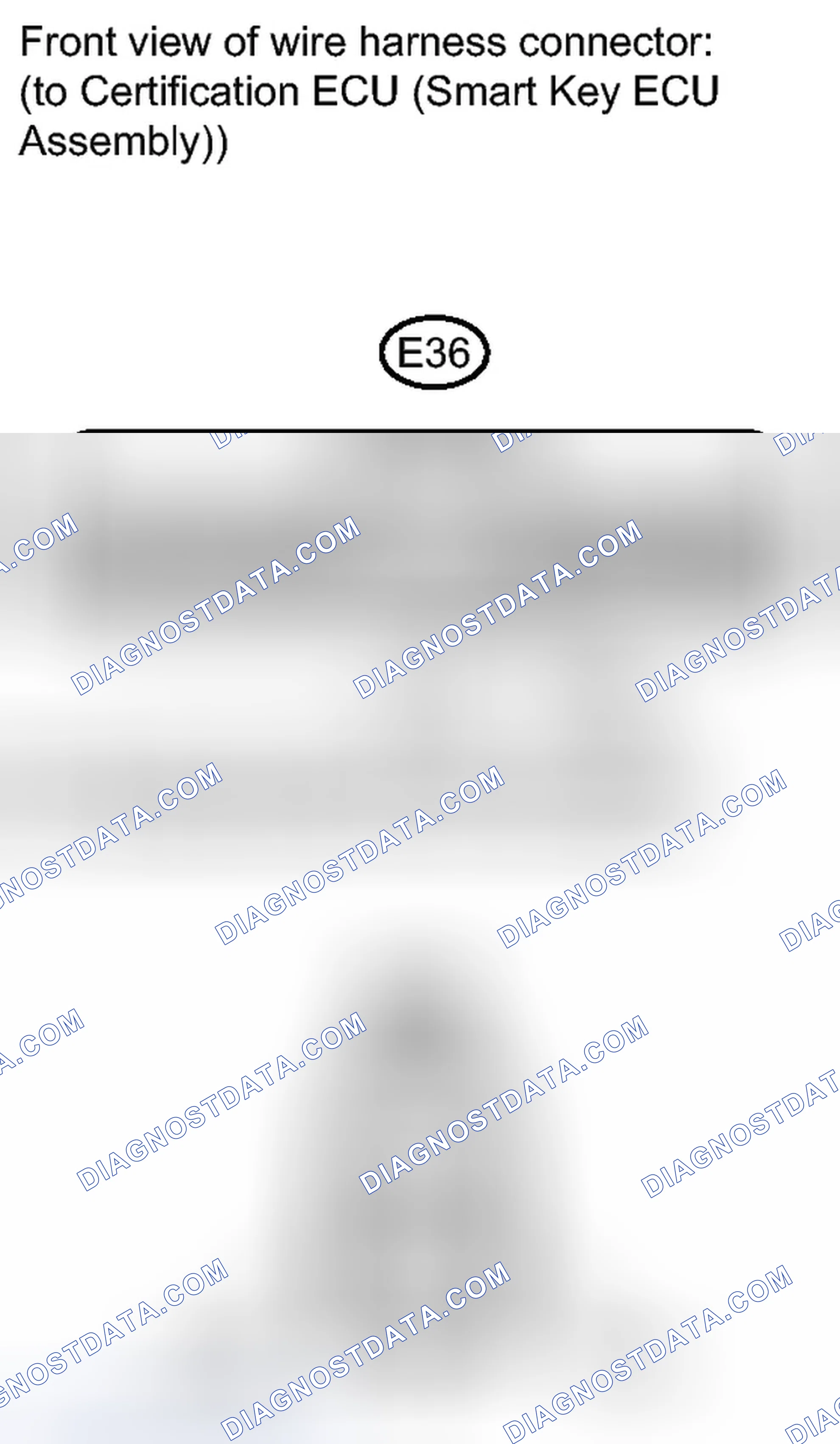 Scheme 232