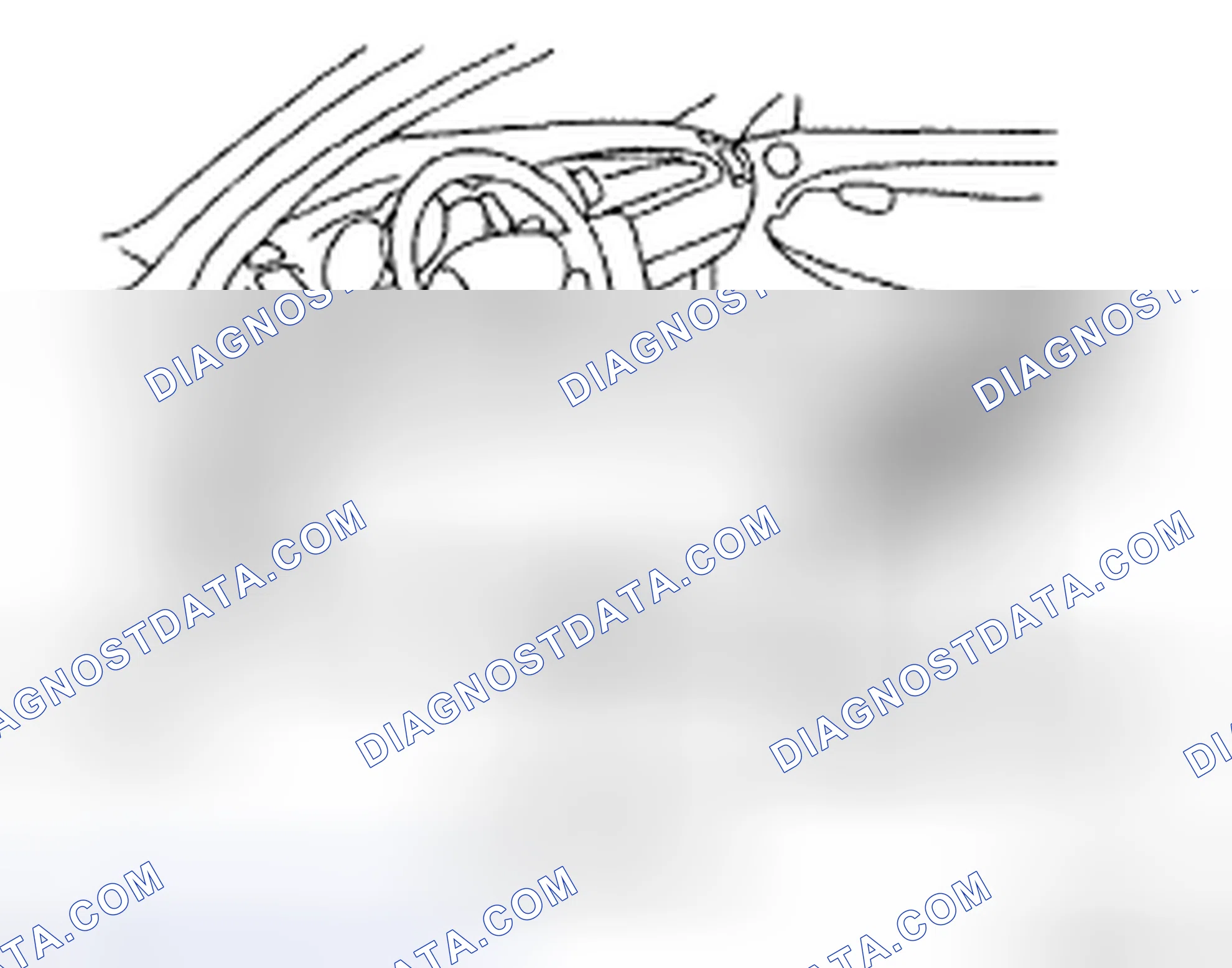 Scheme 76: DTC CHECK / CLEAR