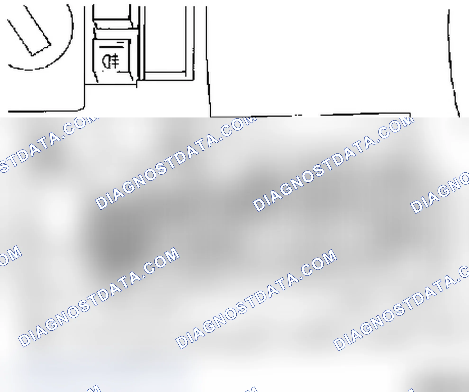 Diagnostic Plug