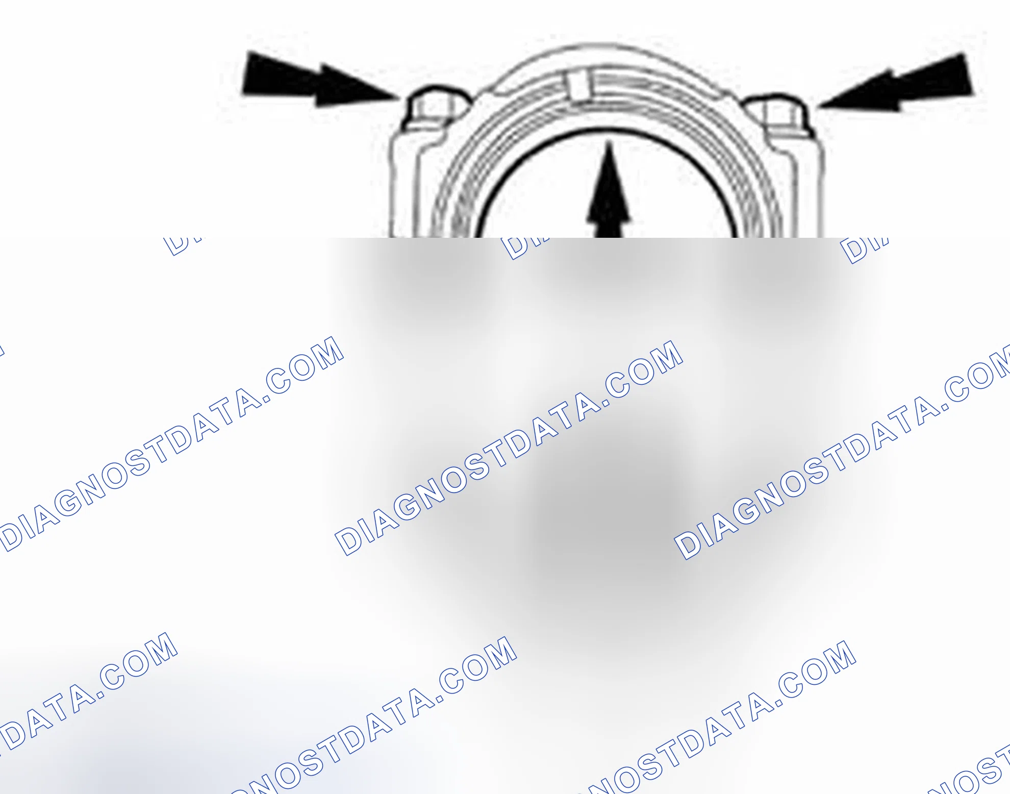 Scheme 335