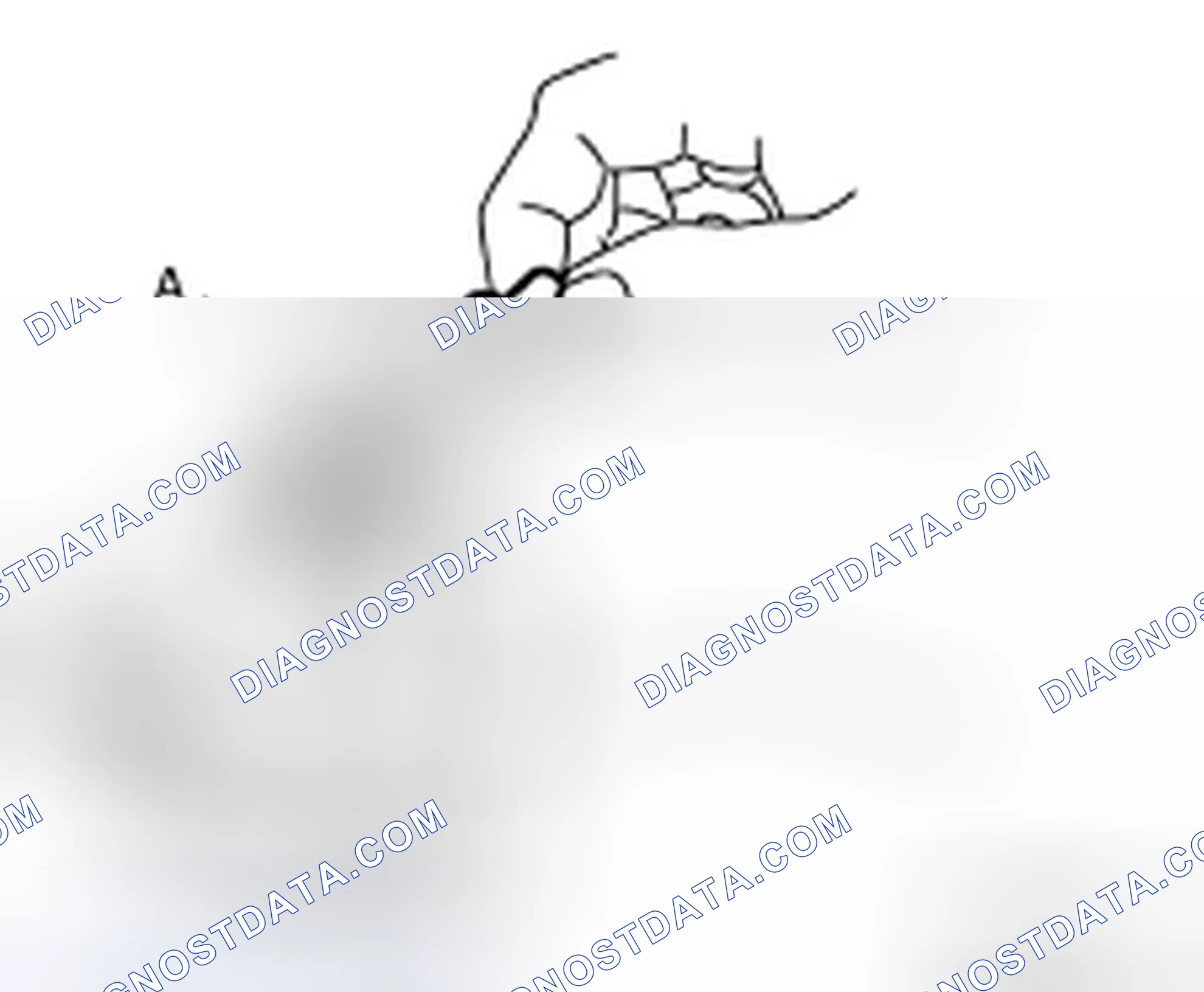 Scheme 8
