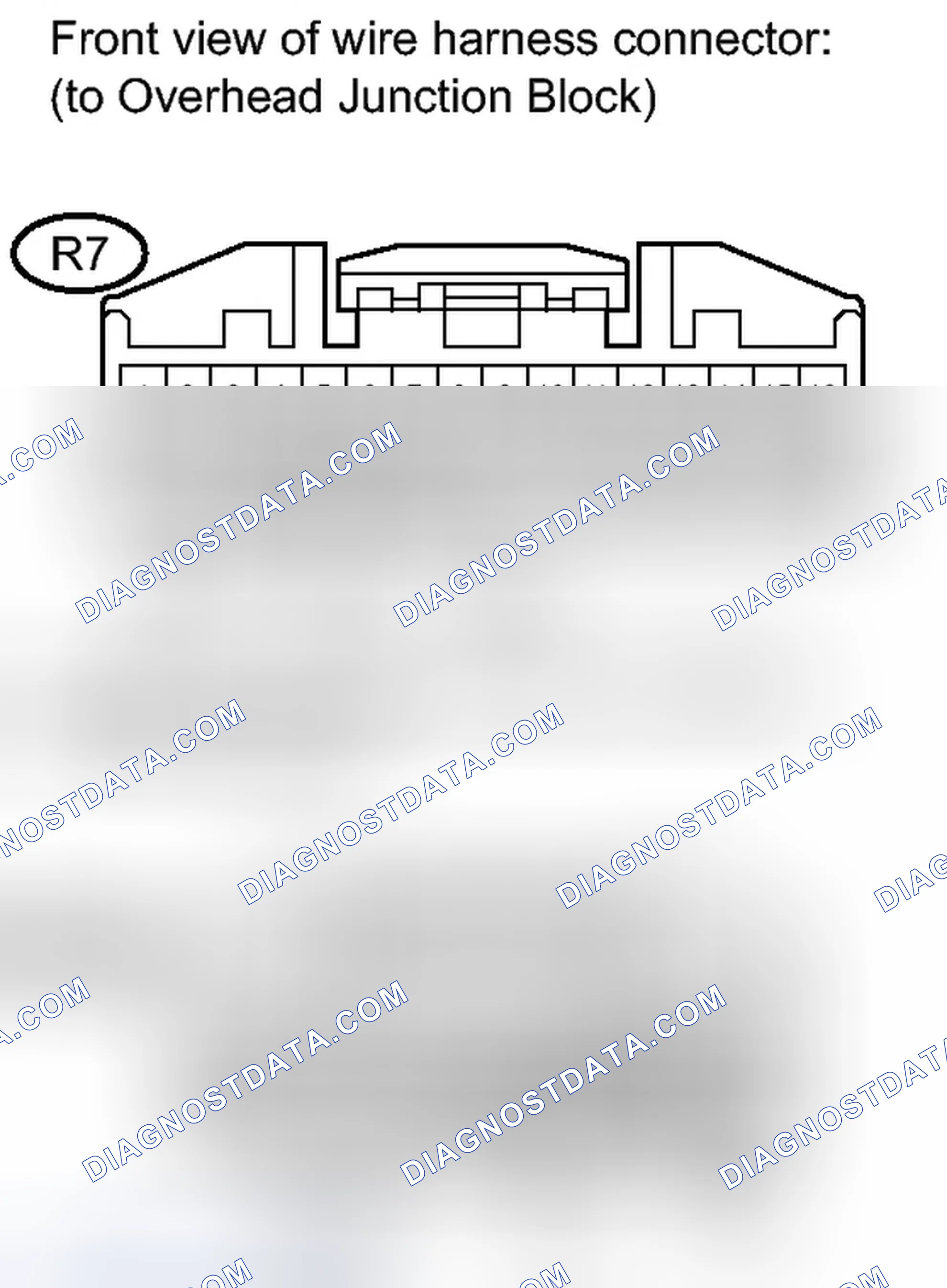Scheme 257