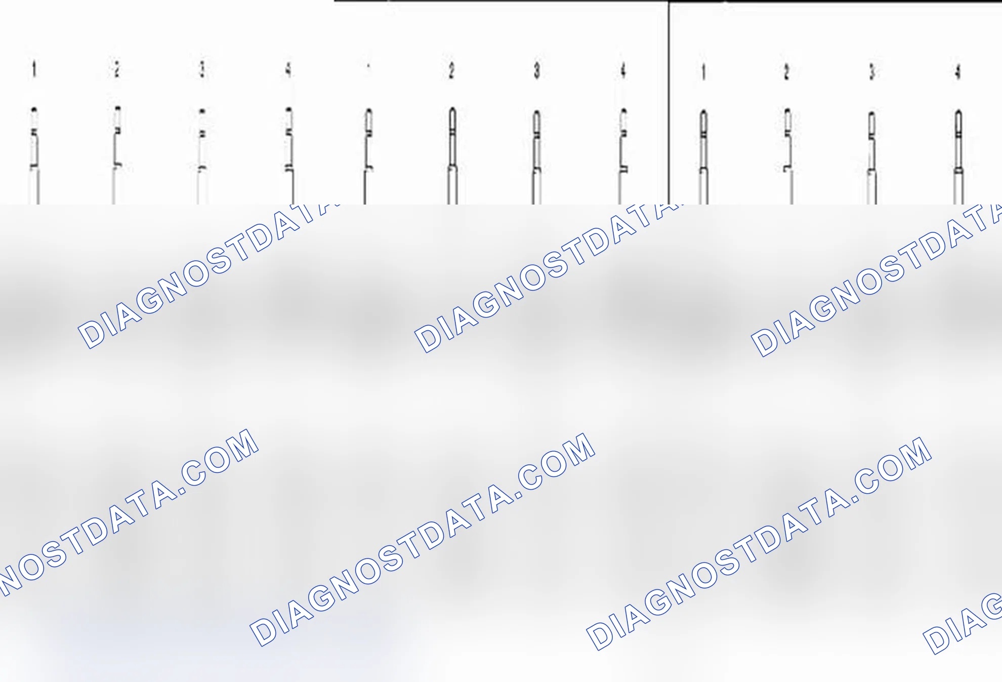 Scheme 4: Strut and Shock Absorber Inspection