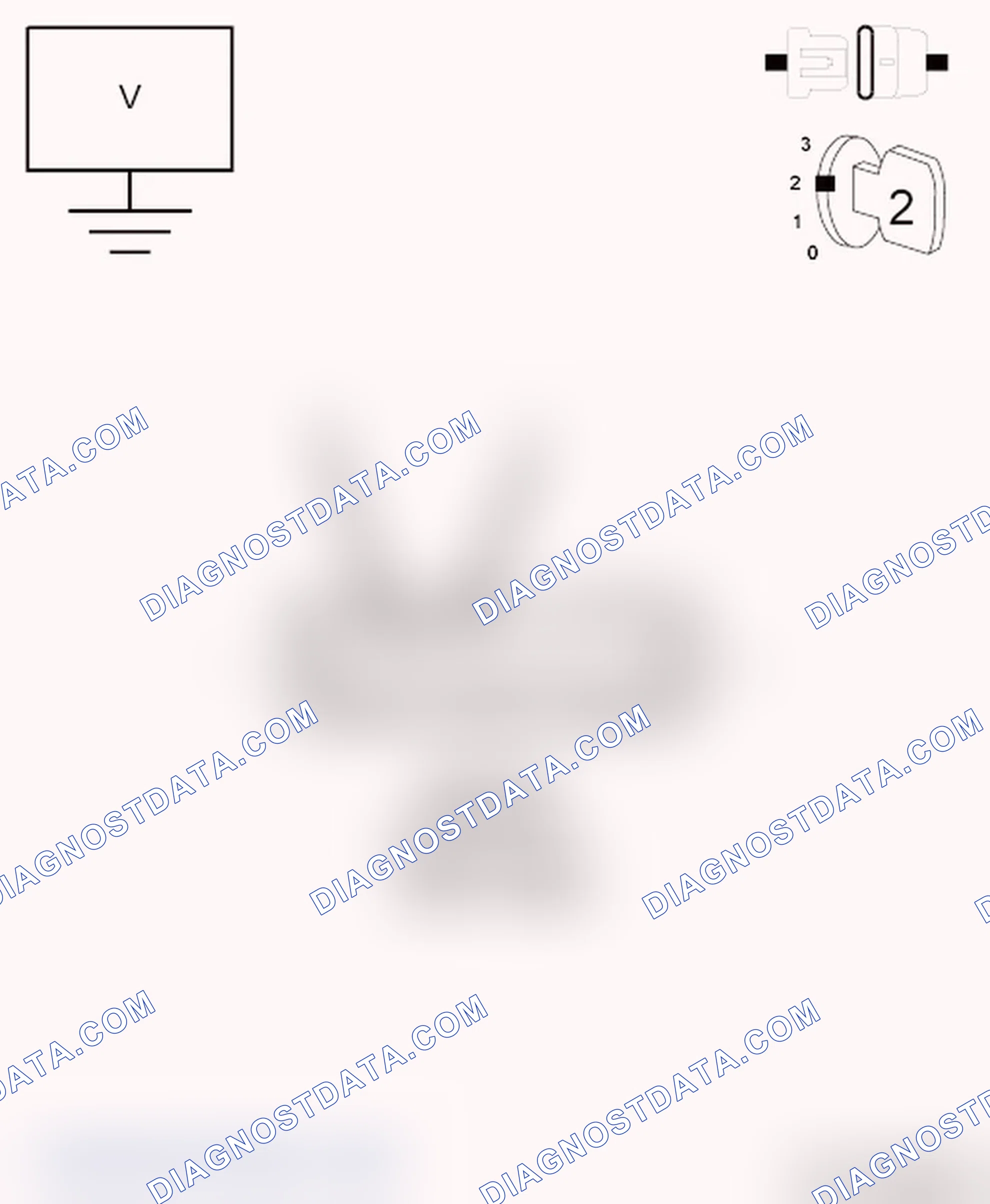 Scheme 13: DIAGNOSTIC TEST