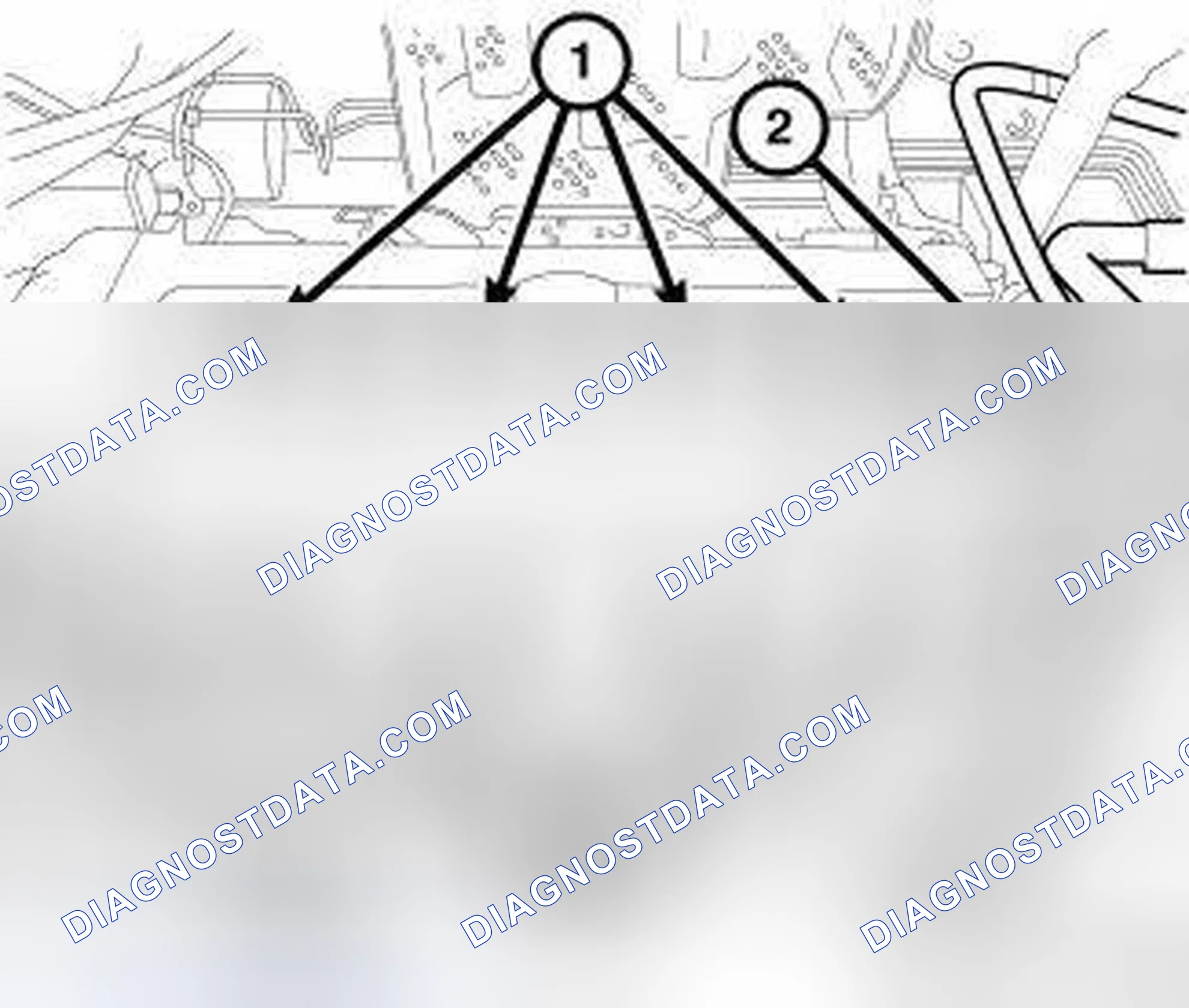 Scheme 323