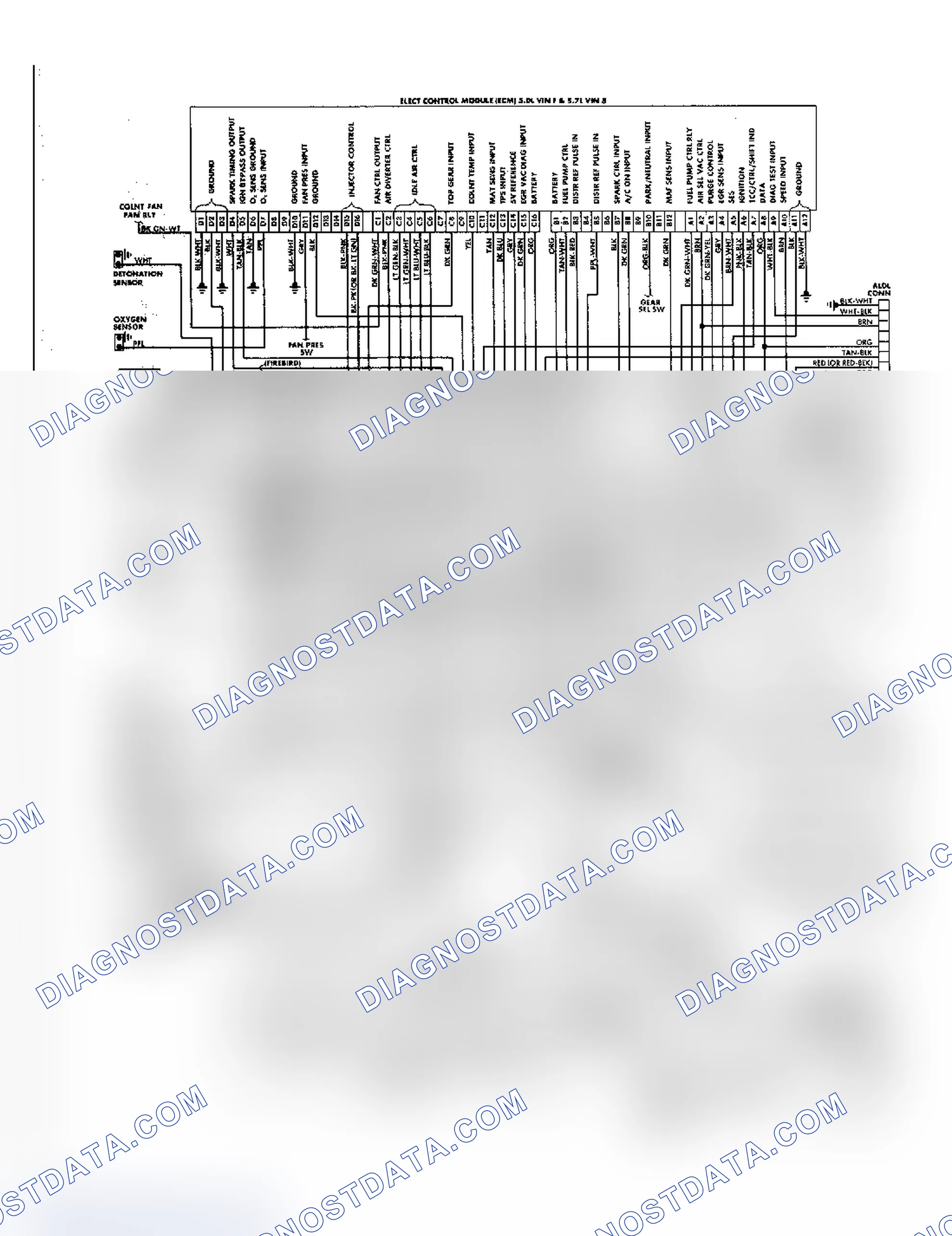 Scheme 28: Camaro & Firebird 5.0 & 5.7L Fuel Injection Wiring Diagram
