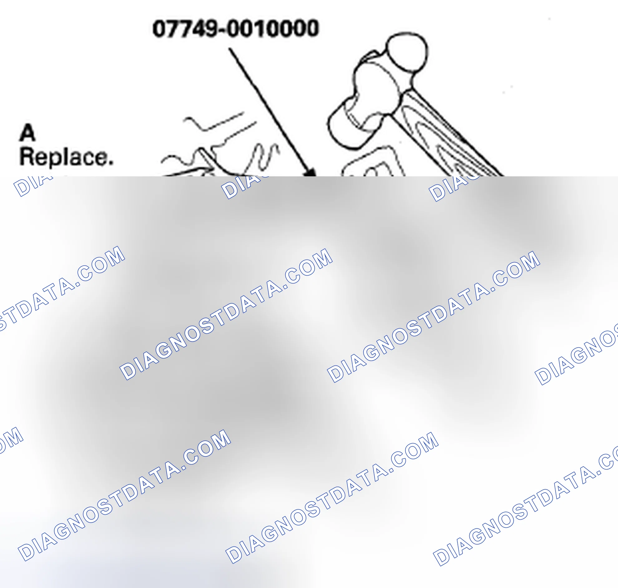 Scheme 323