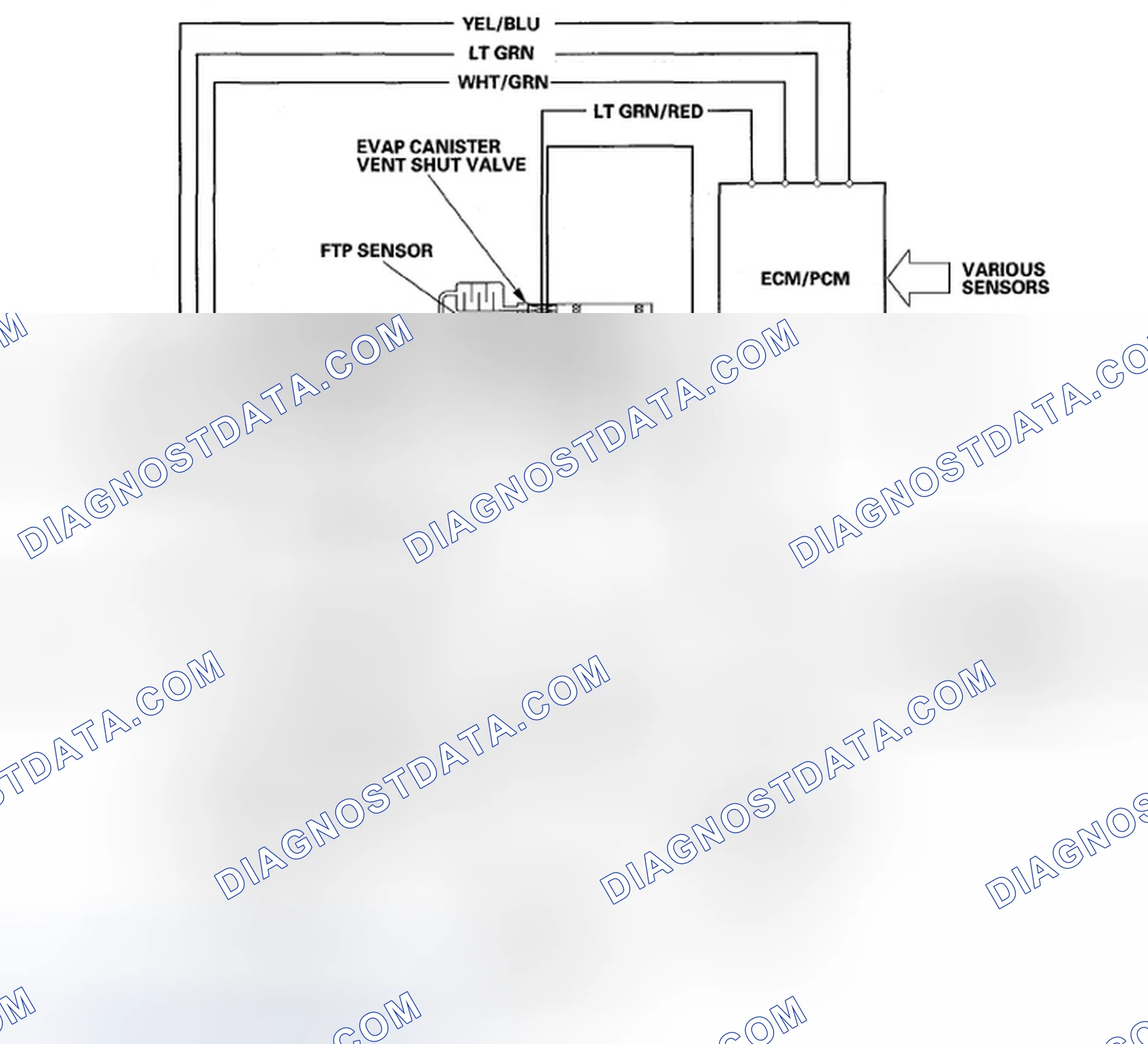 Scheme 244: Evaporative Emission (EVAP) Control Diagram