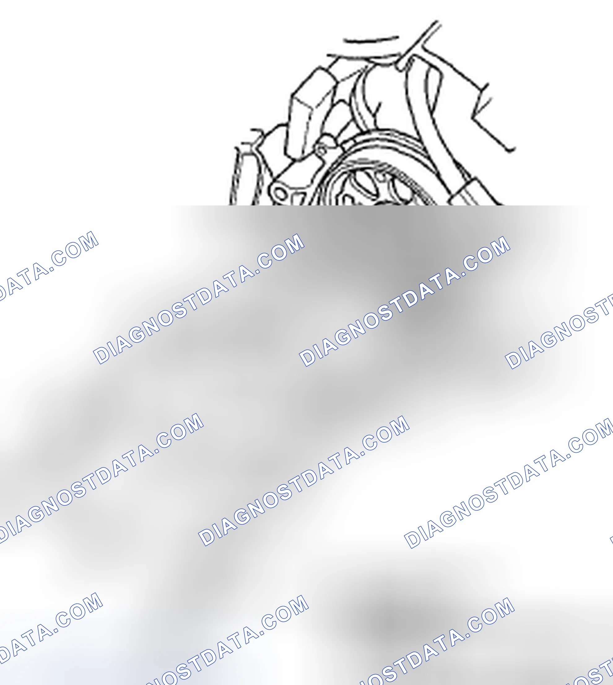 Scheme 217: Timing Belt Inspection