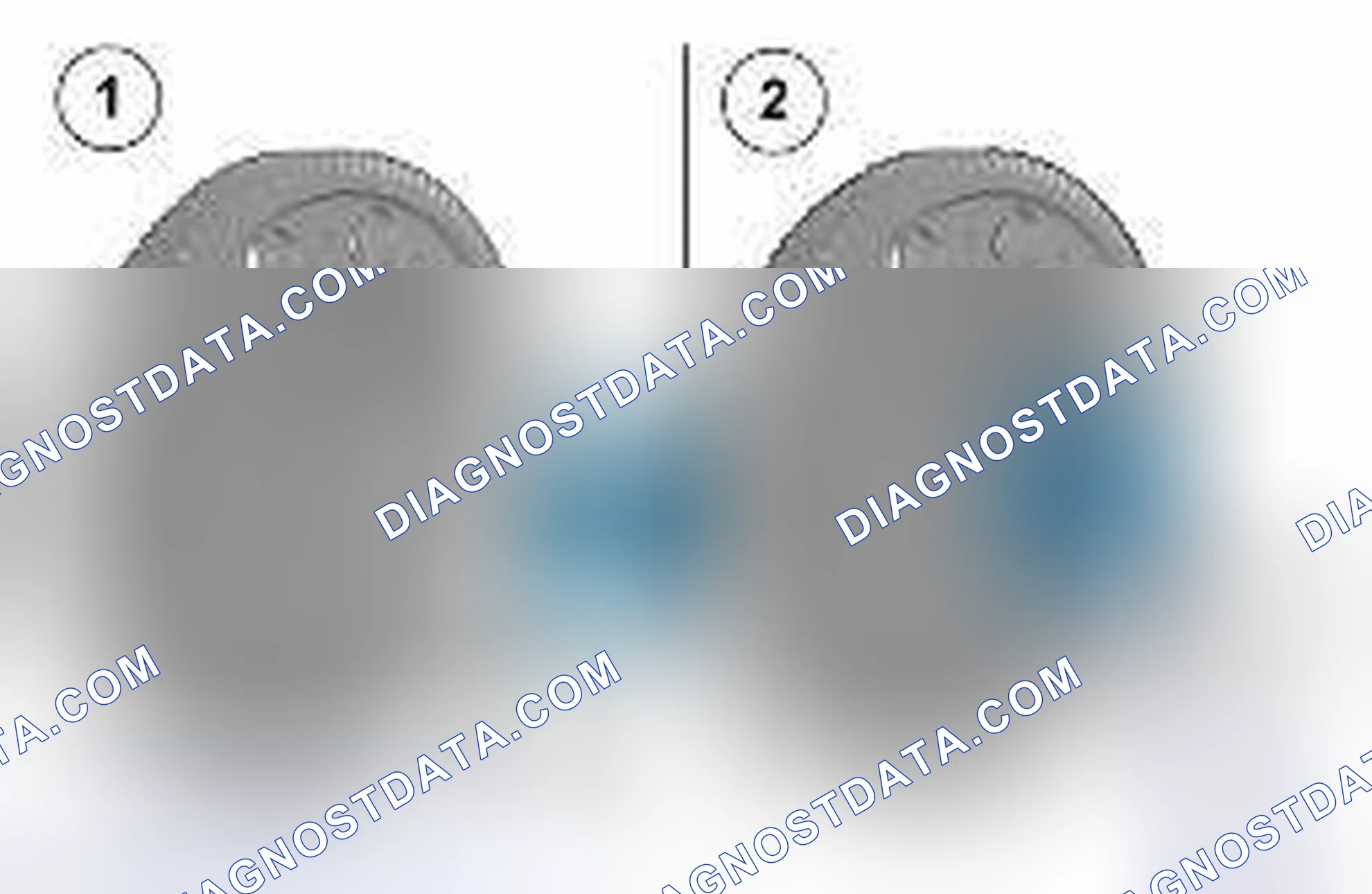 Scheme 107