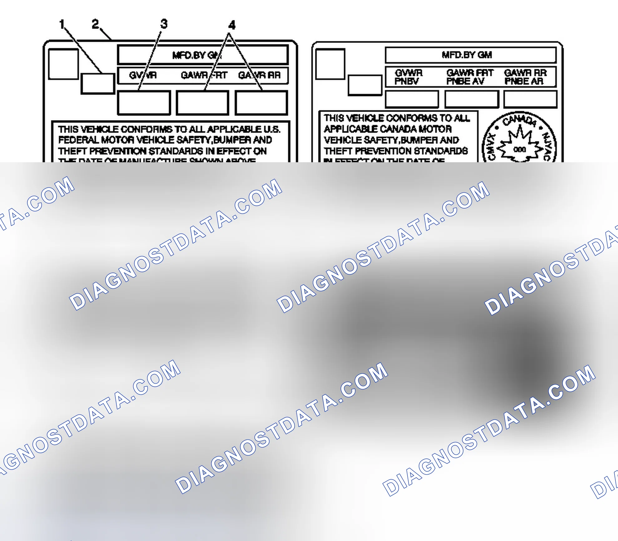 Scheme 4: Label - Vehicle Certification, Tire Place Card, Anti-Theft and Service Parts ID