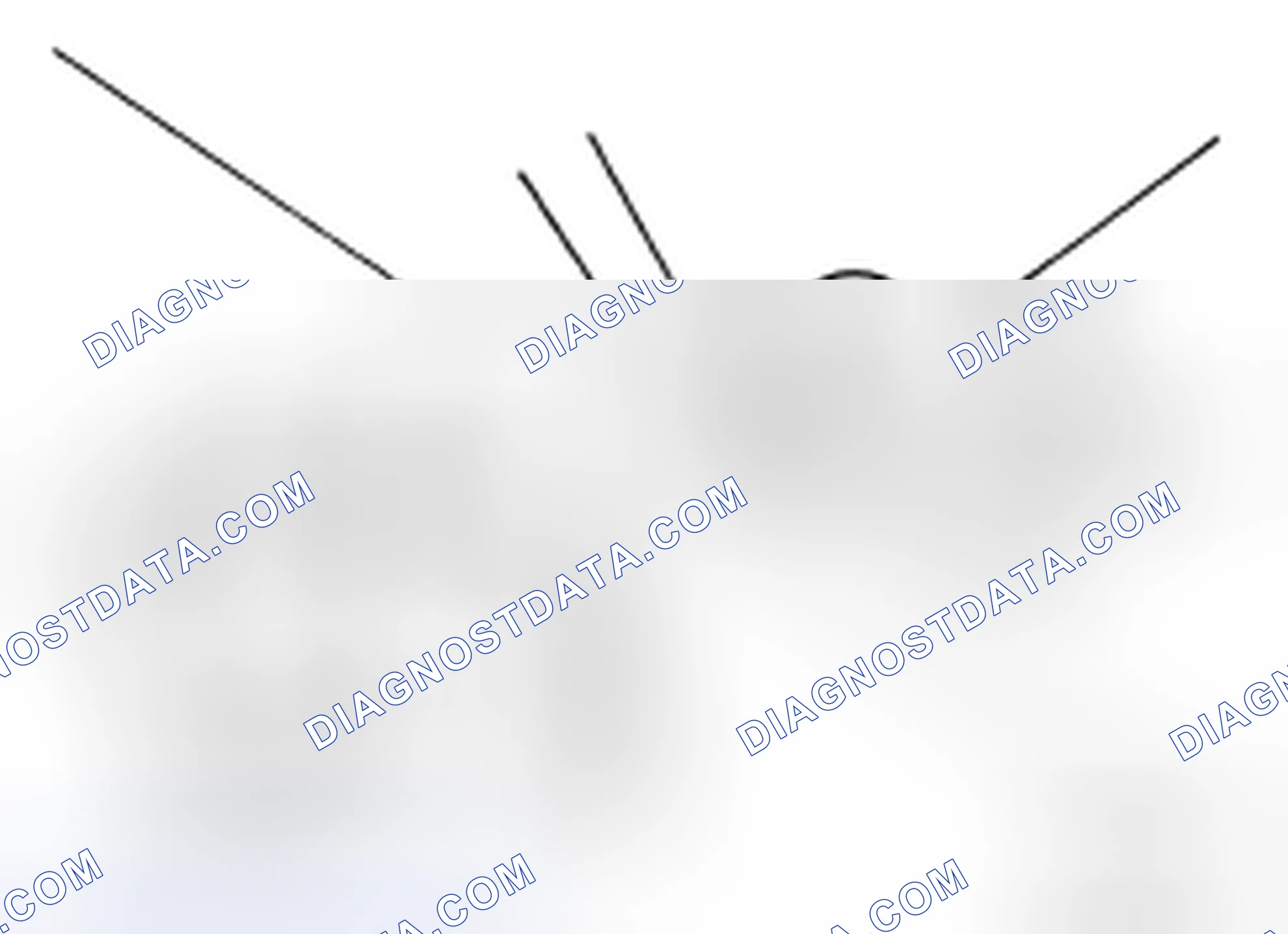 Scheme 46: Changing Brake Fluid