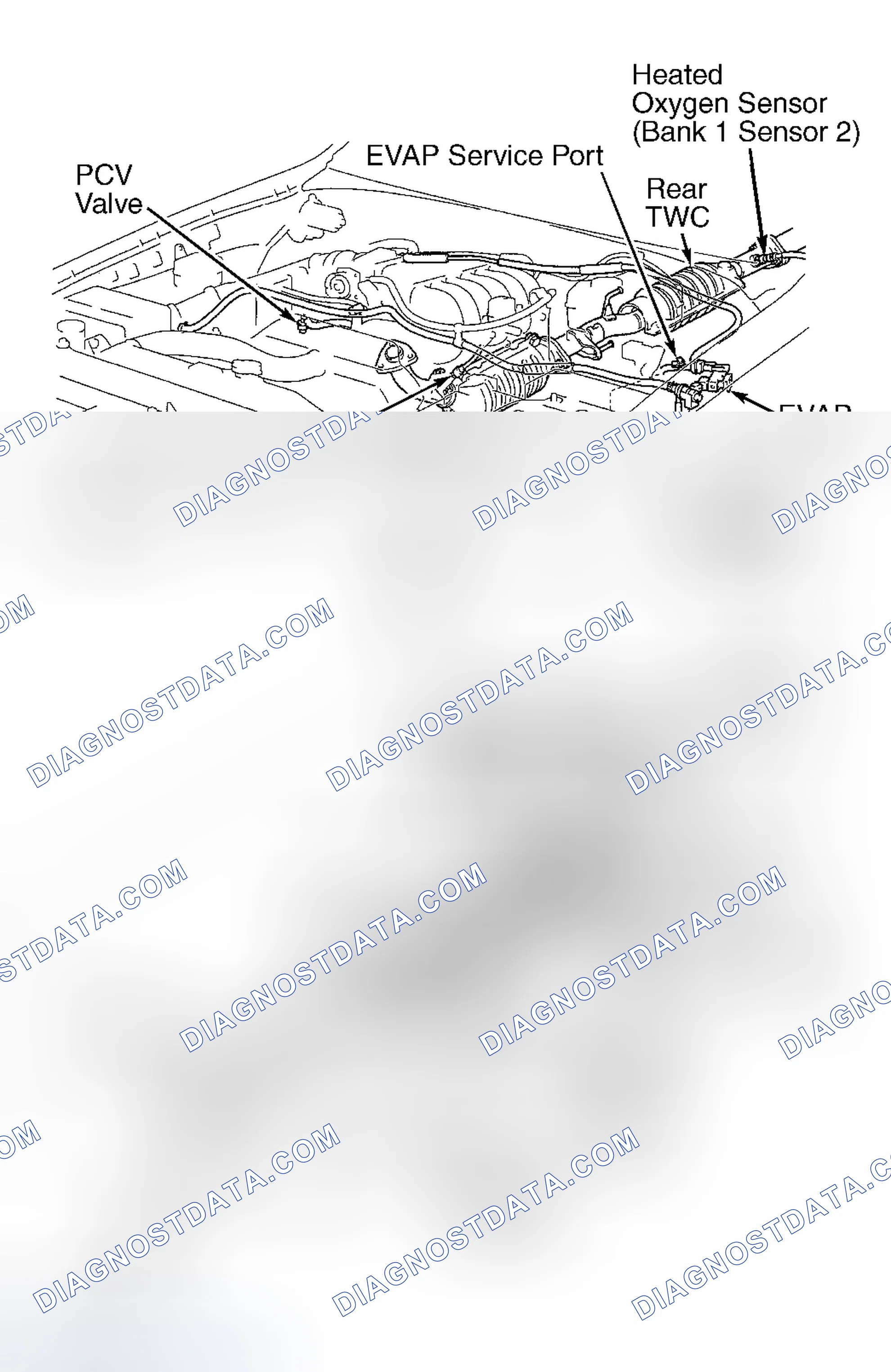 Scheme 545
