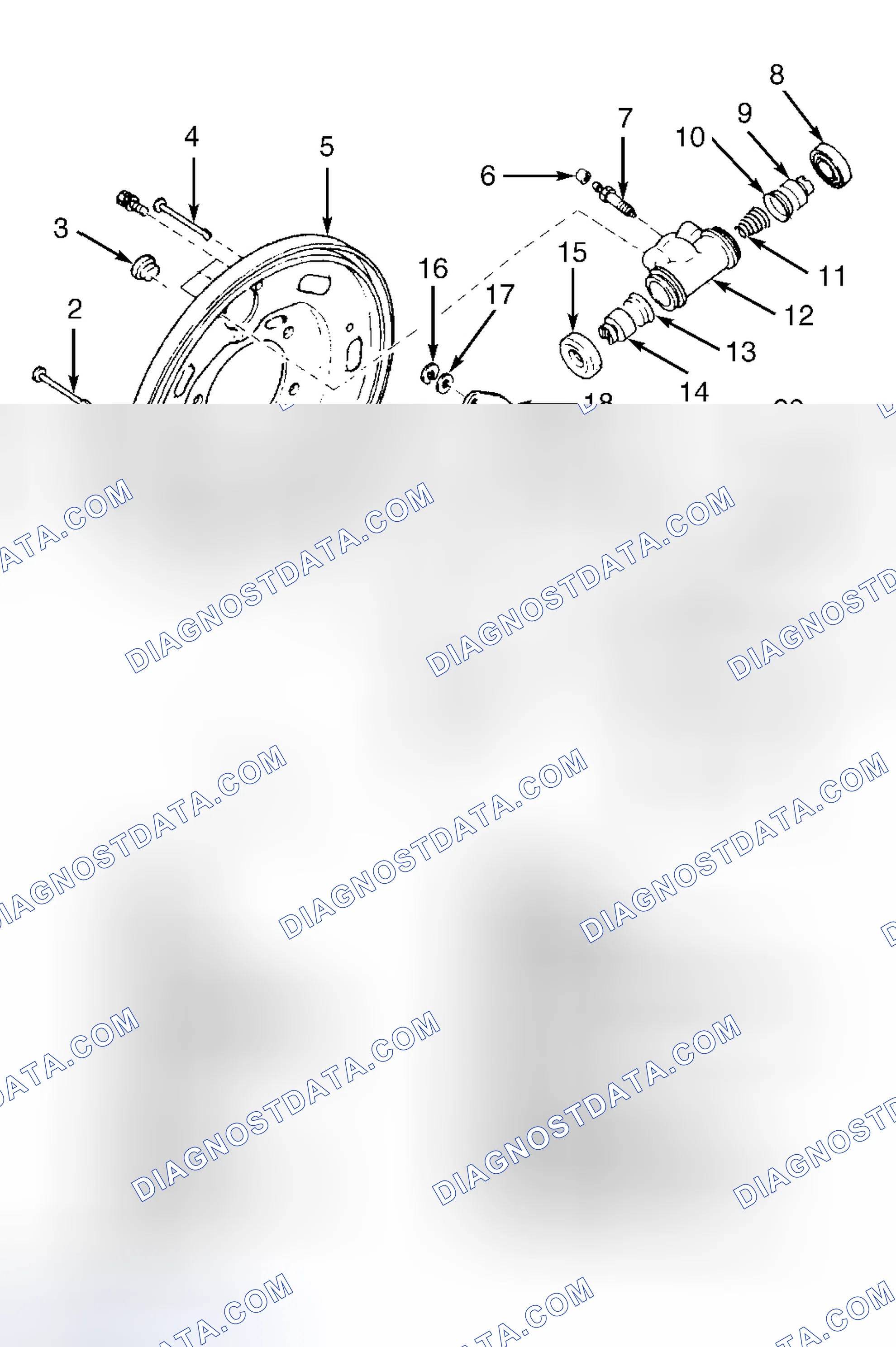 Scheme 54: REAR DRUM BRAKE ASSEMBLY