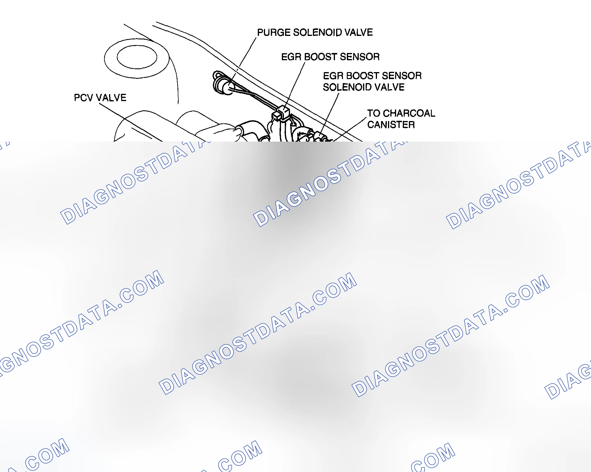 Scheme 189: VACUUM HOSE ROUTING DIAGRAM [AJ]