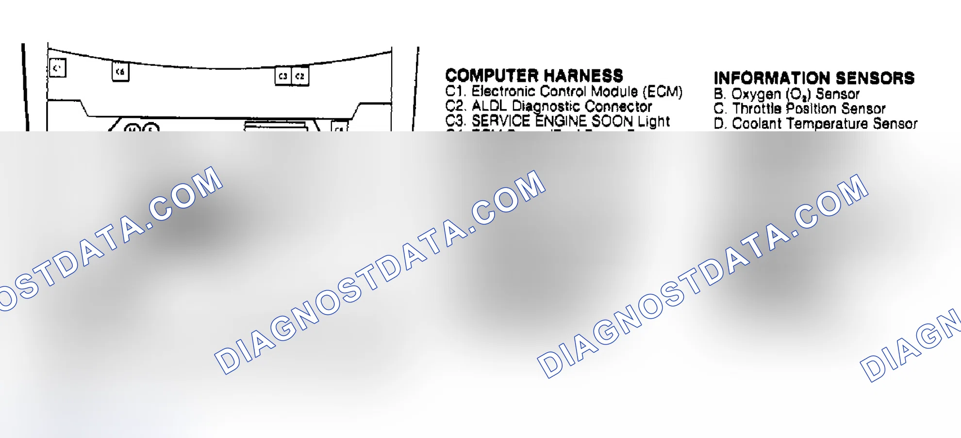 Scheme 18