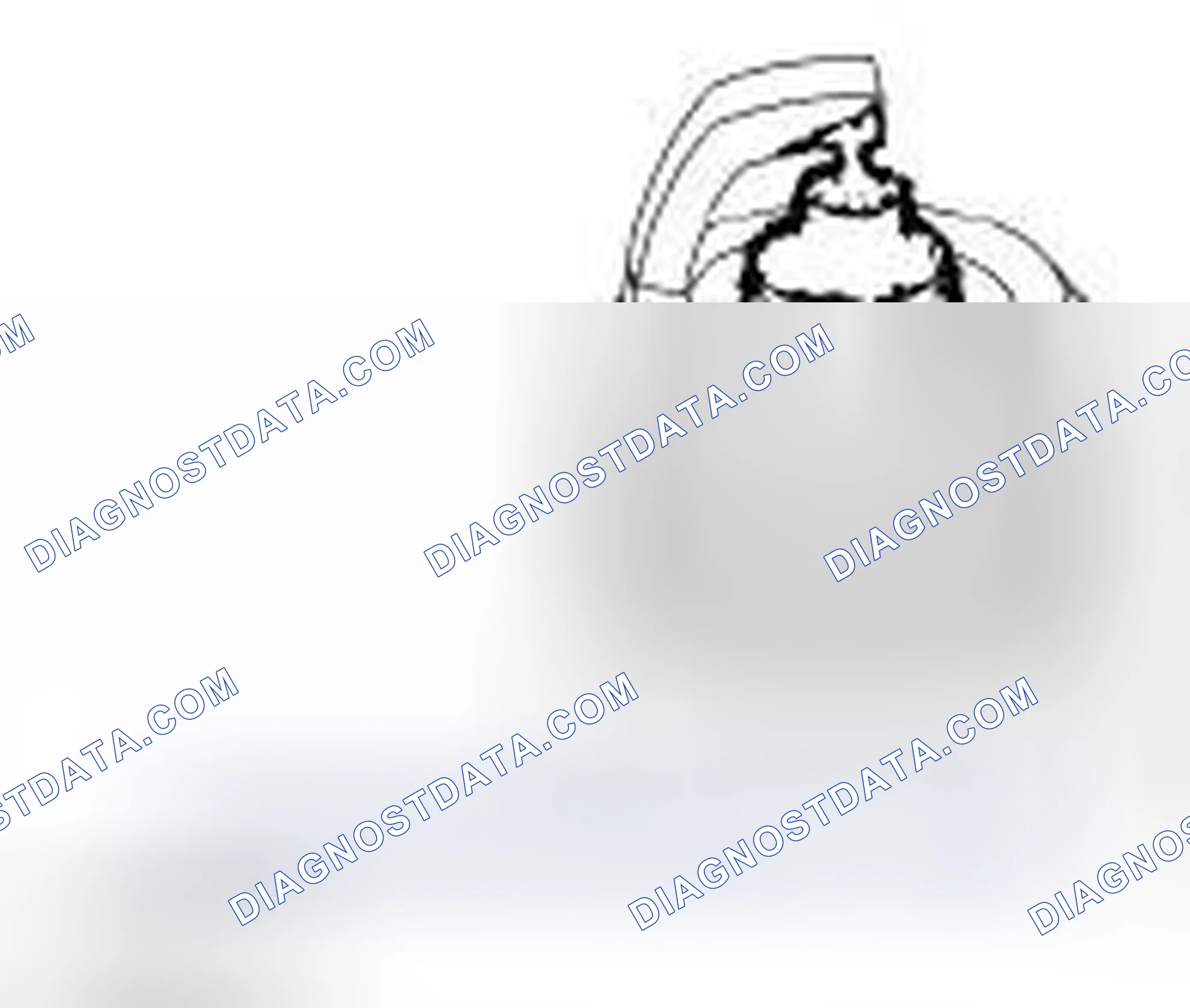Scheme 74: Spark Plug Inspection