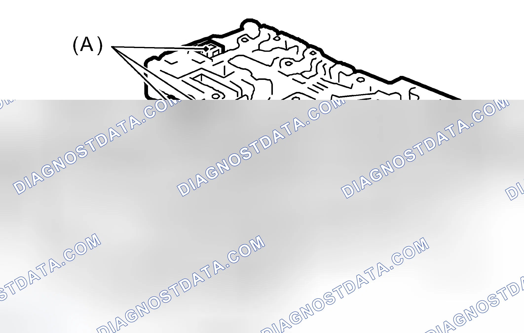 Scheme 338