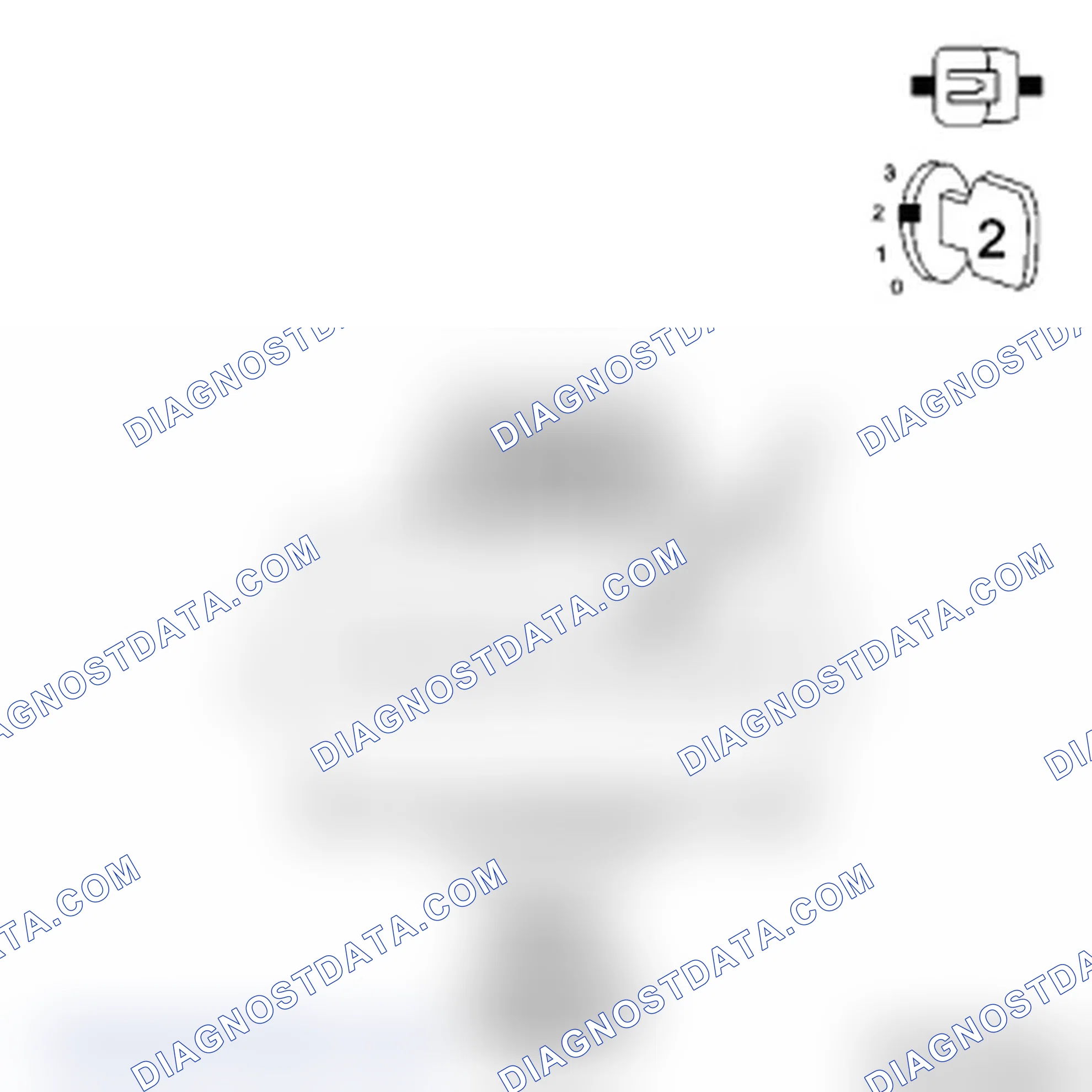 Scheme 20: Diagnostic Test