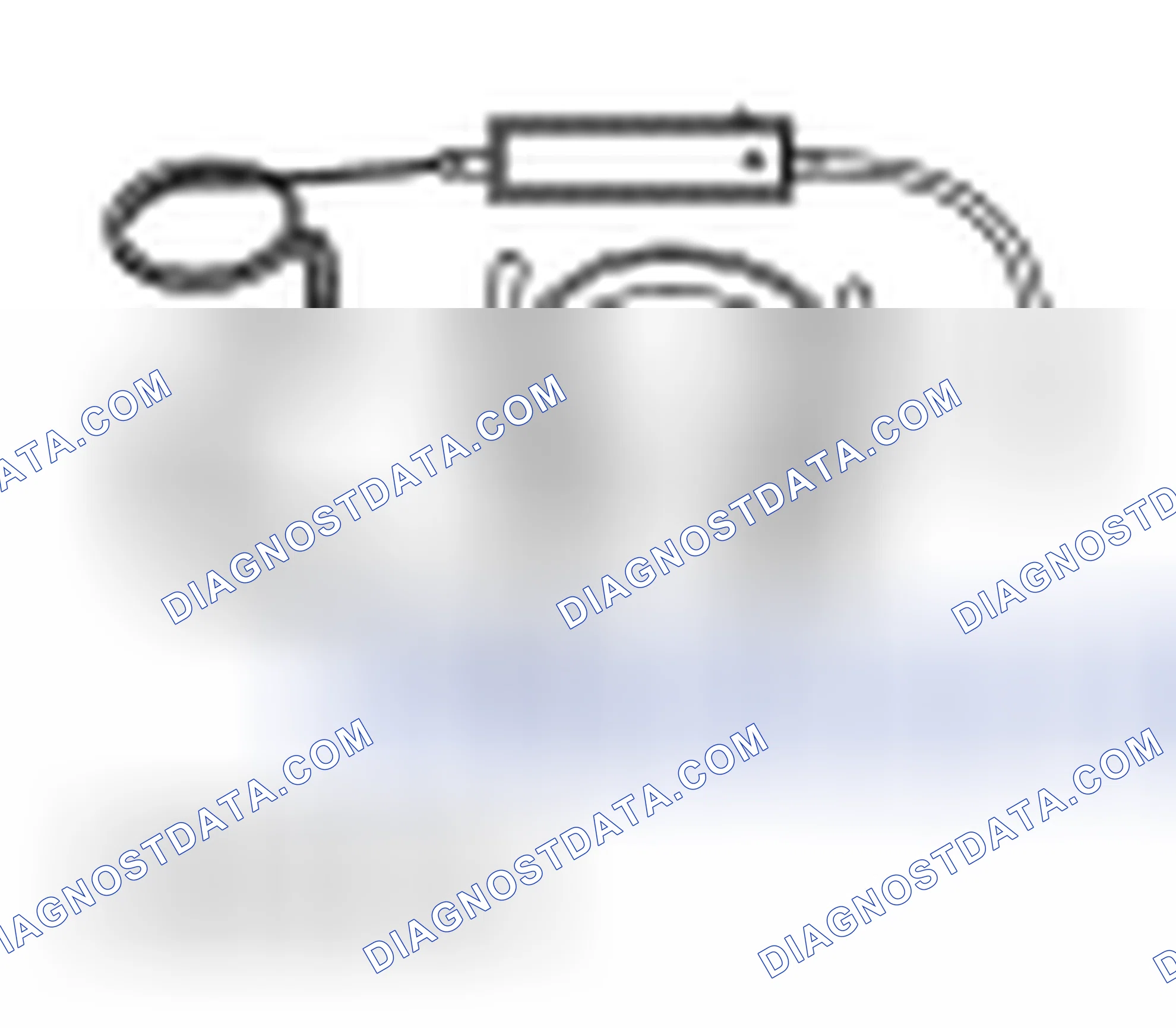 Scheme 529