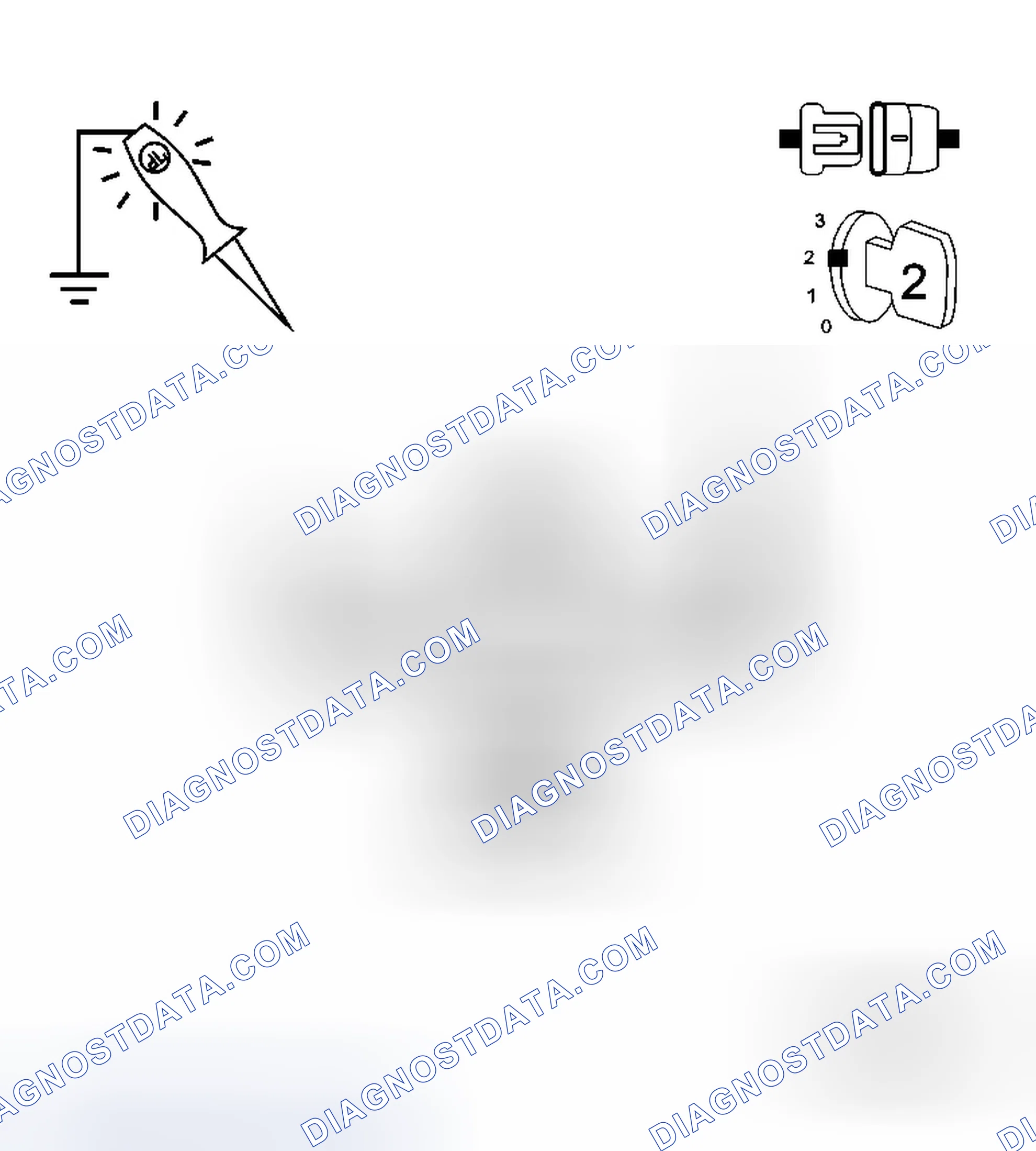 Scheme 39: Diagnostic Test