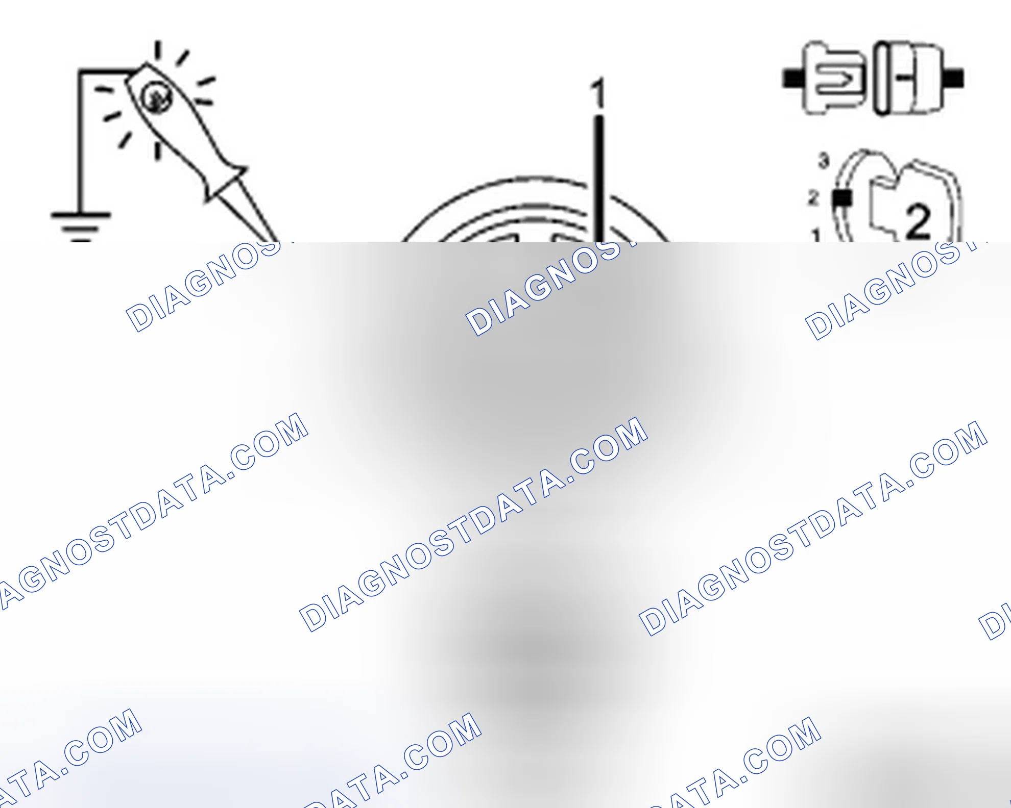 Scheme 37: Diagnostic Test