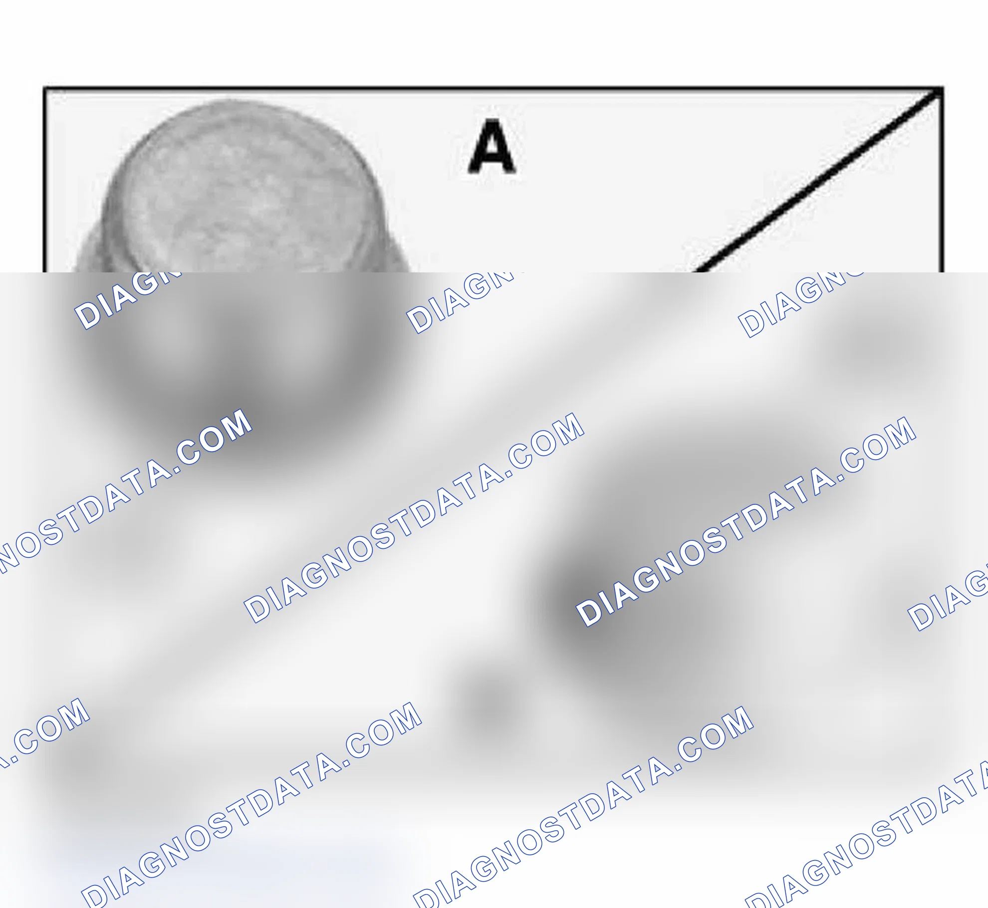 Scheme 81